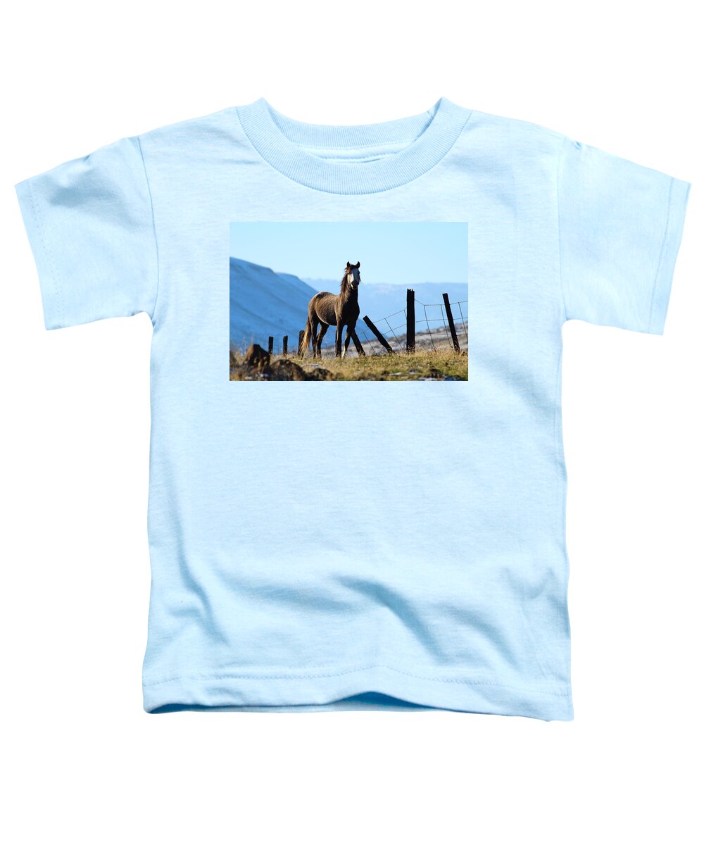 Wild Horse Toddler T-Shirt featuring the photograph Wild beauty by Lynn Hopwood