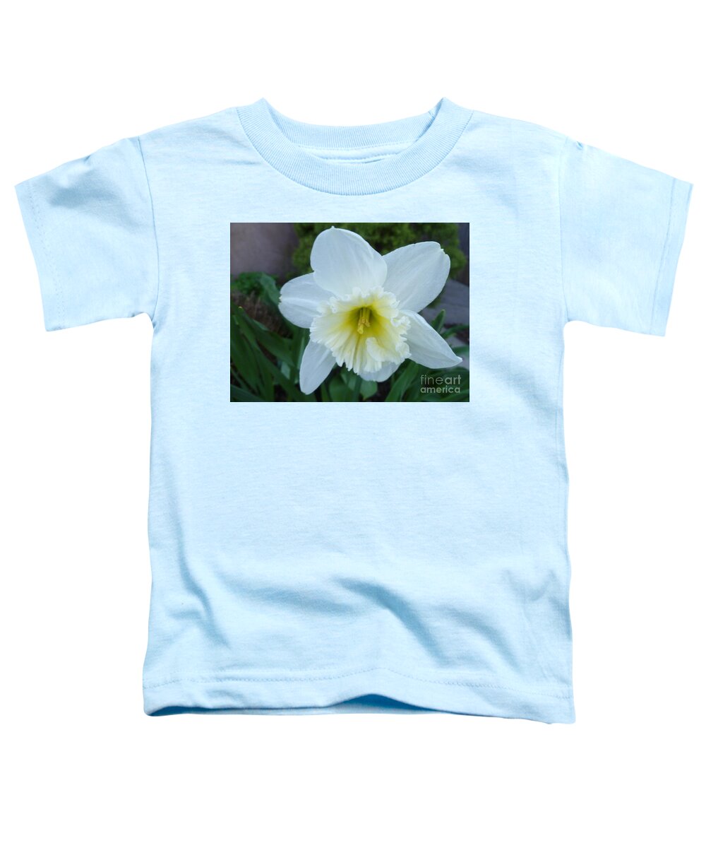 Floral Beauty Toddler T-Shirt featuring the photograph Wings Of An Angel by Lingfai Leung