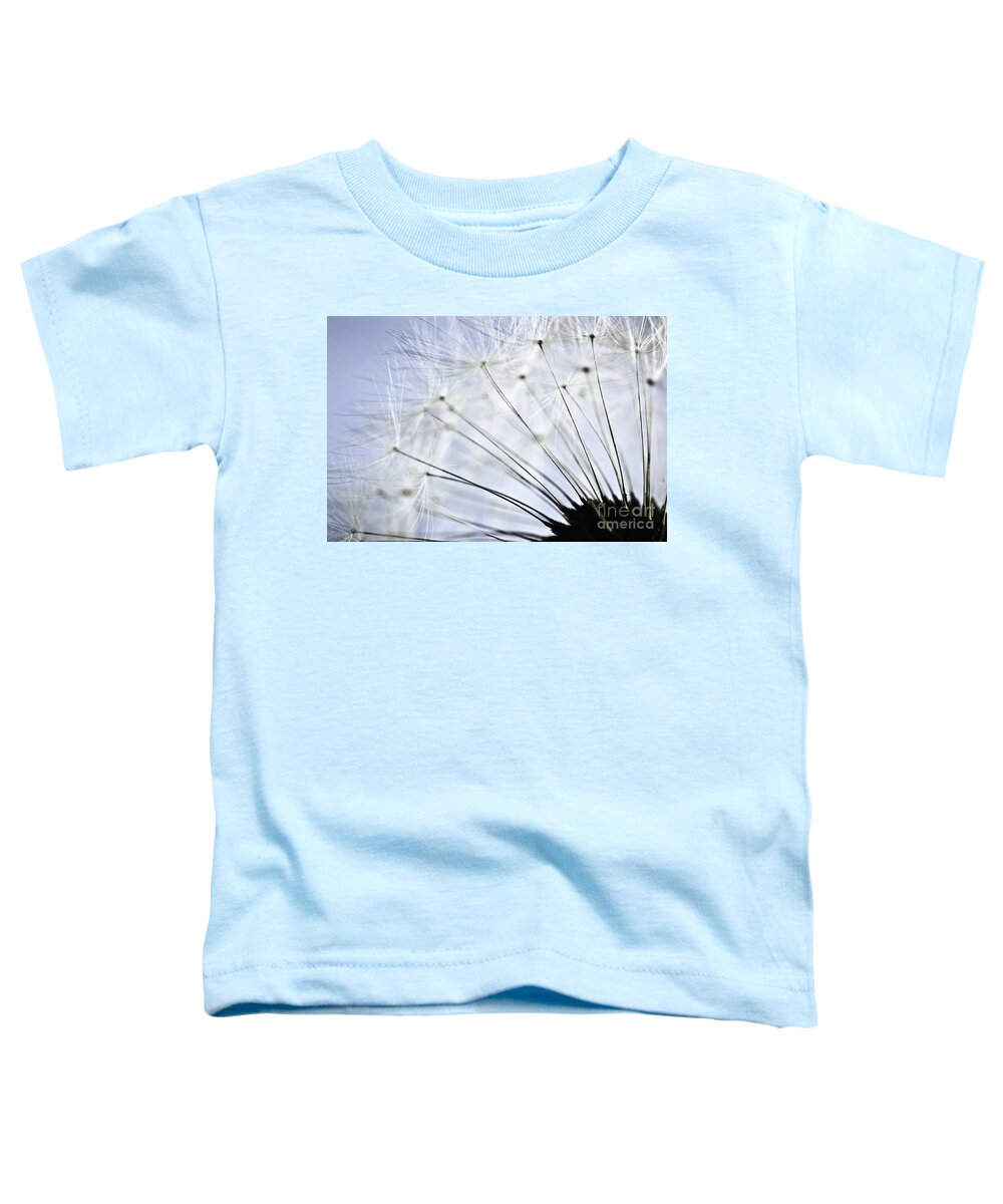 Dandelion Toddler T-Shirt featuring the photograph Dandelion by Elena Elisseeva