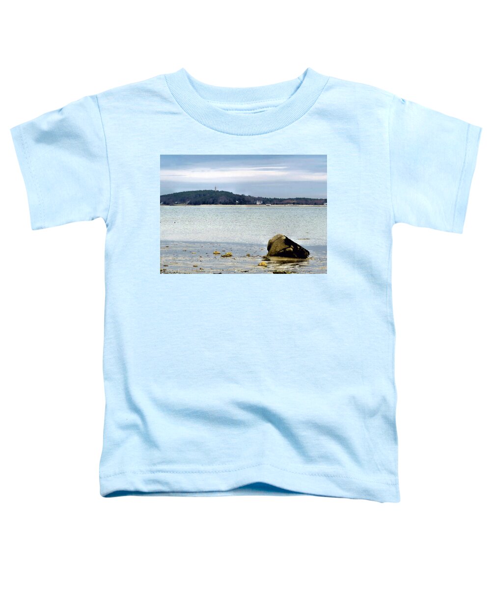 Ocean Toddler T-Shirt featuring the photograph Pastel Coastal Scenery by Janice Drew
