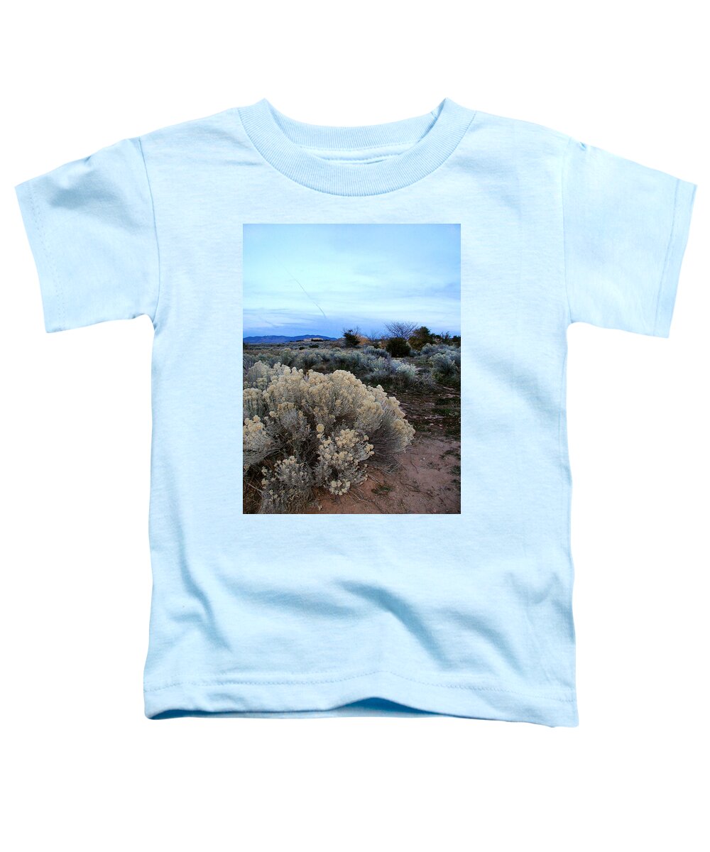 Santa Fe Toddler T-Shirt featuring the photograph A Desert View after Sunset by Kathleen Grace