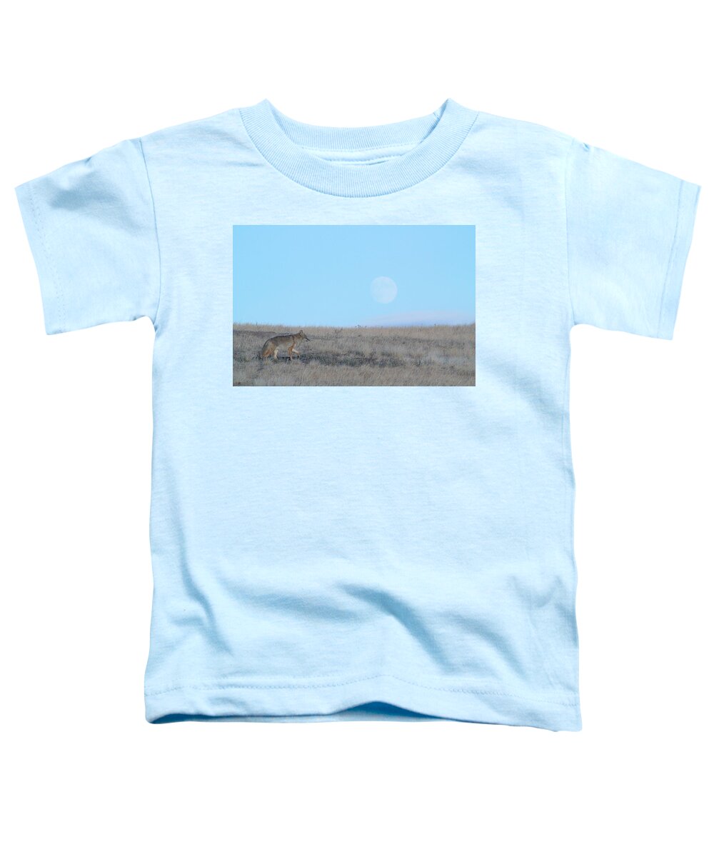 Wildlife Toddler T-Shirt featuring the photograph Early Hunt by Donald J Gray