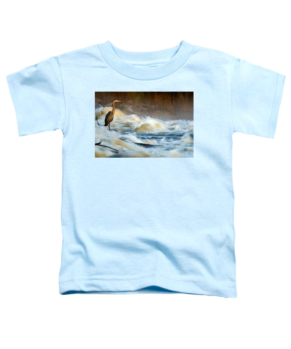 2007 Toddler T-Shirt featuring the photograph Heron in Centaur Shute by Robert Charity