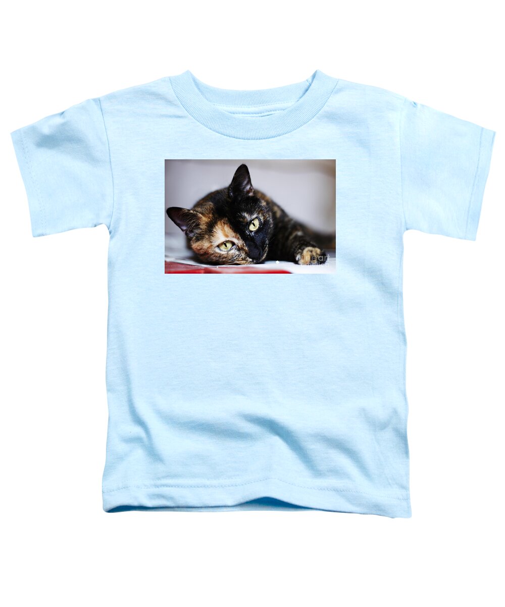 Tumbada Toddler T-Shirt featuring the photograph Himawari by Agusti Pardo Rossello