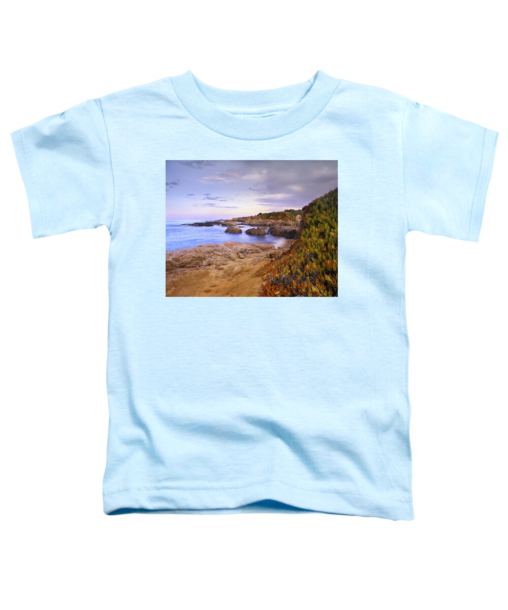 00176748 Toddler T-Shirt featuring the photograph Ice Plant At Bean Hollow by Tim Fitzharris
