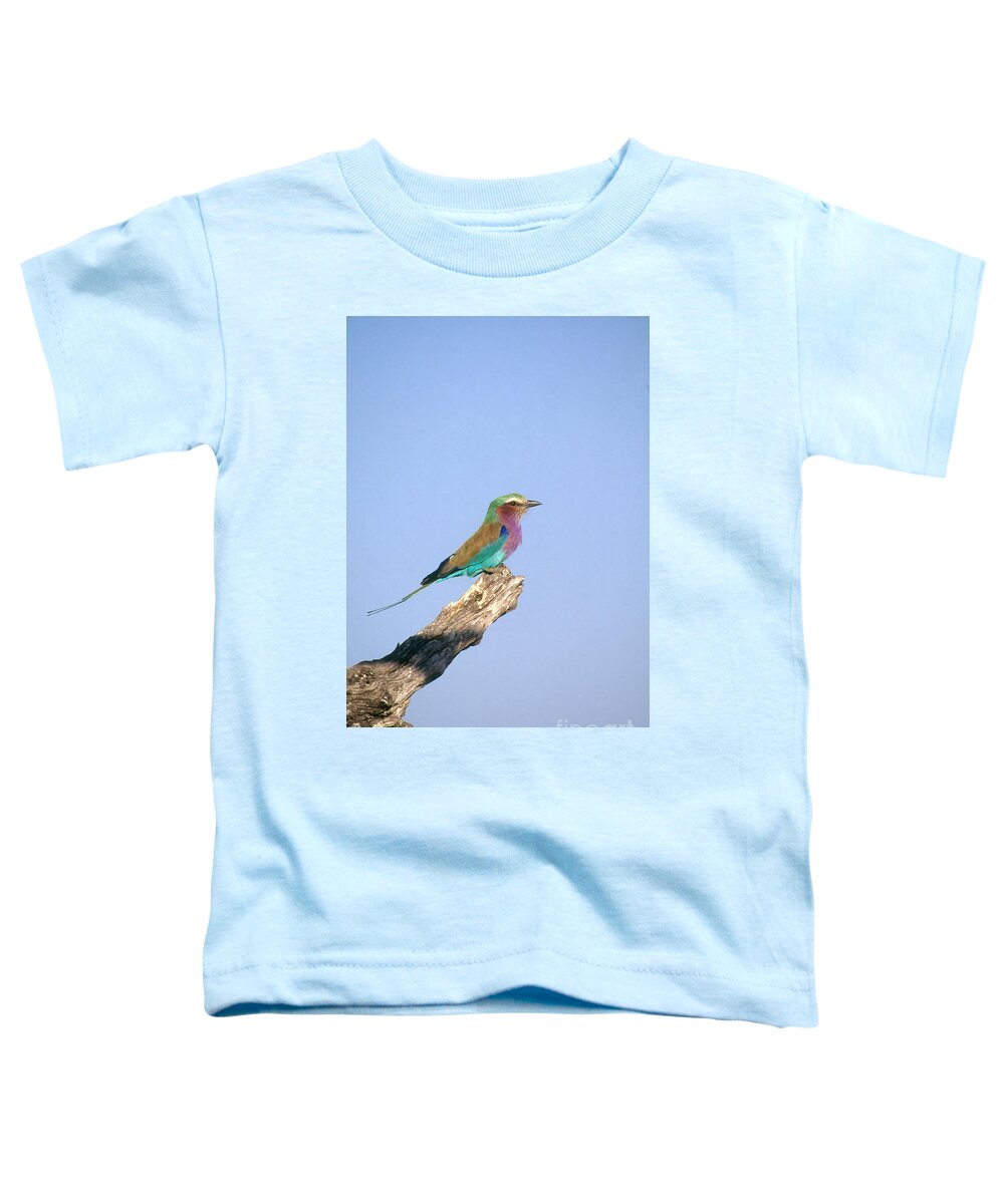 Nature Toddler T-Shirt featuring the photograph Lilac-breasted Roller by Gregory G Dimijian