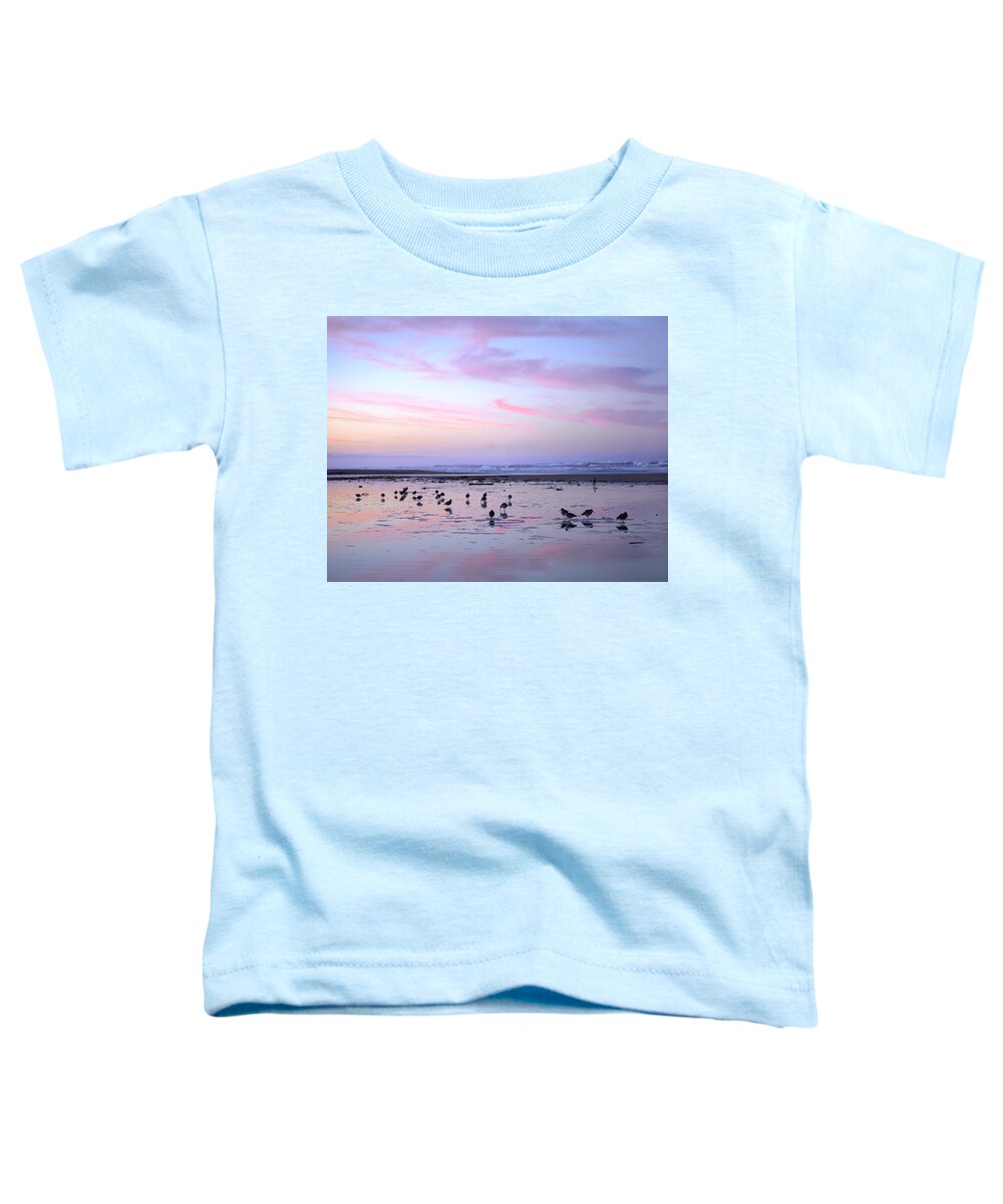 Mp Toddler T-Shirt featuring the photograph Shorebirds Foraging At Sunset, Pismo by Tim Fitzharris