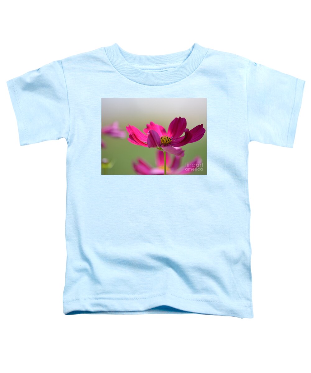 Cosmos Toddler T-Shirt featuring the photograph Cosmos #2 by Maria Urso
