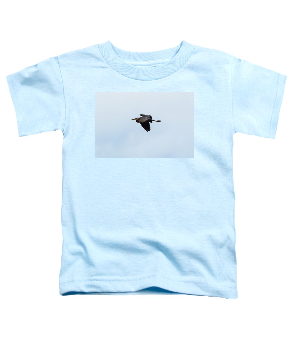 Great Blue Heron Toddler T-Shirt featuring the photograph Great Blue Heron #1 by Holden The Moment