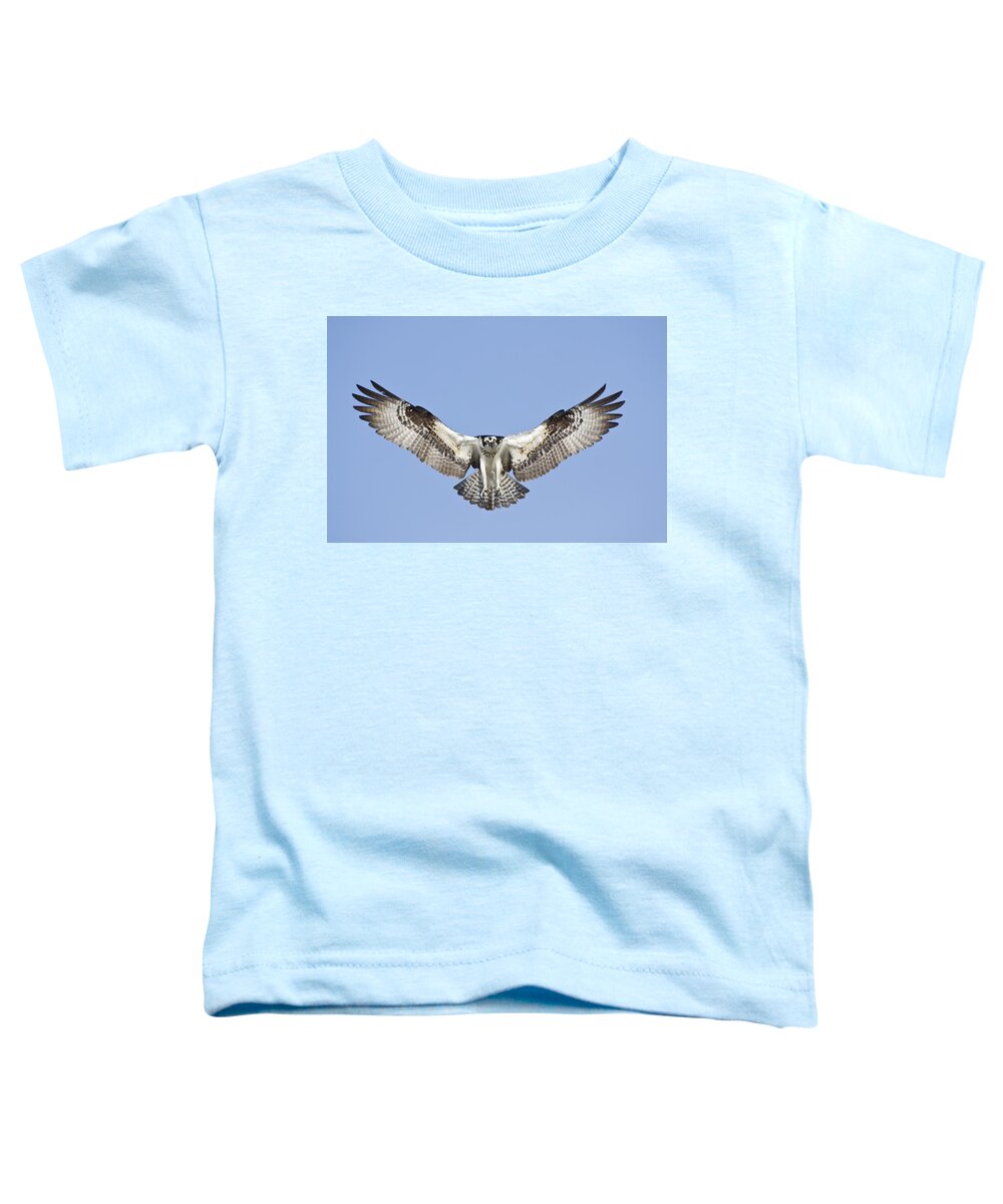 Osprey Toddler T-Shirt featuring the photograph Osprey in Flight by Bob Decker