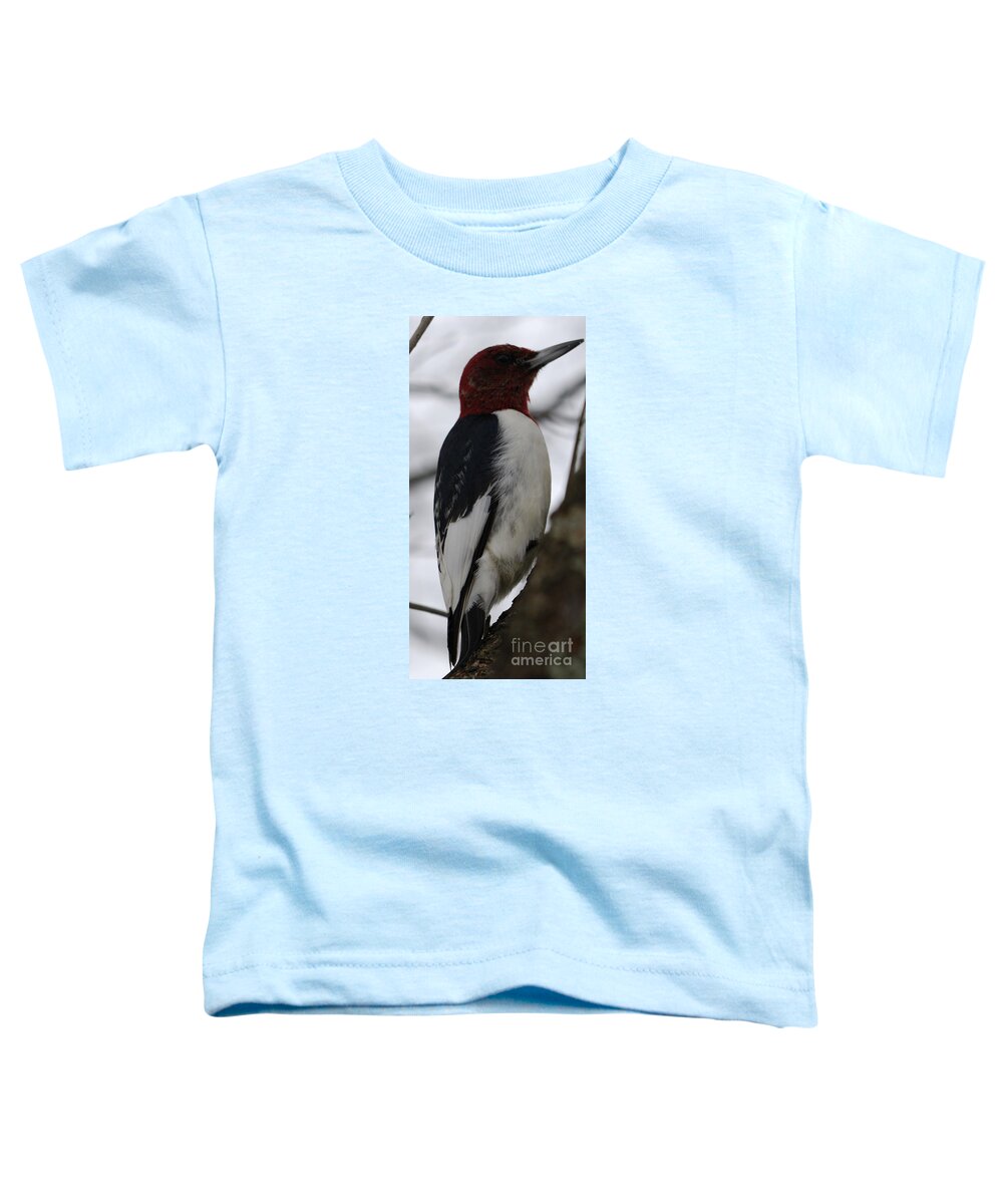 High Virginia Images Toddler T-Shirt featuring the photograph Red-headed Woodpecker by Randy Bodkins