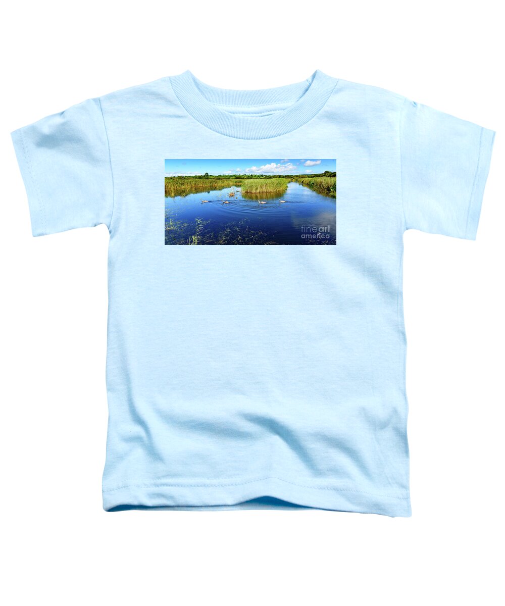 Landscape Toddler T-Shirt featuring the photograph Somerset Levels #2 by Colin Rayner