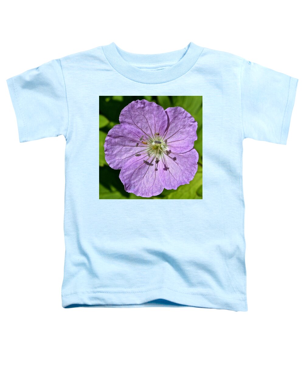 Shenk's Ferry Toddler T-Shirt featuring the photograph Geranium maculatum 1 by Tana Reiff
