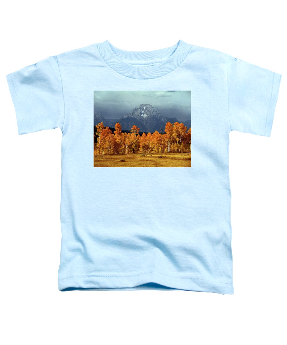1m9235 Toddler T-Shirt featuring the photograph 1M9235 Mt. Moran in Autumn by Ed Cooper Photography