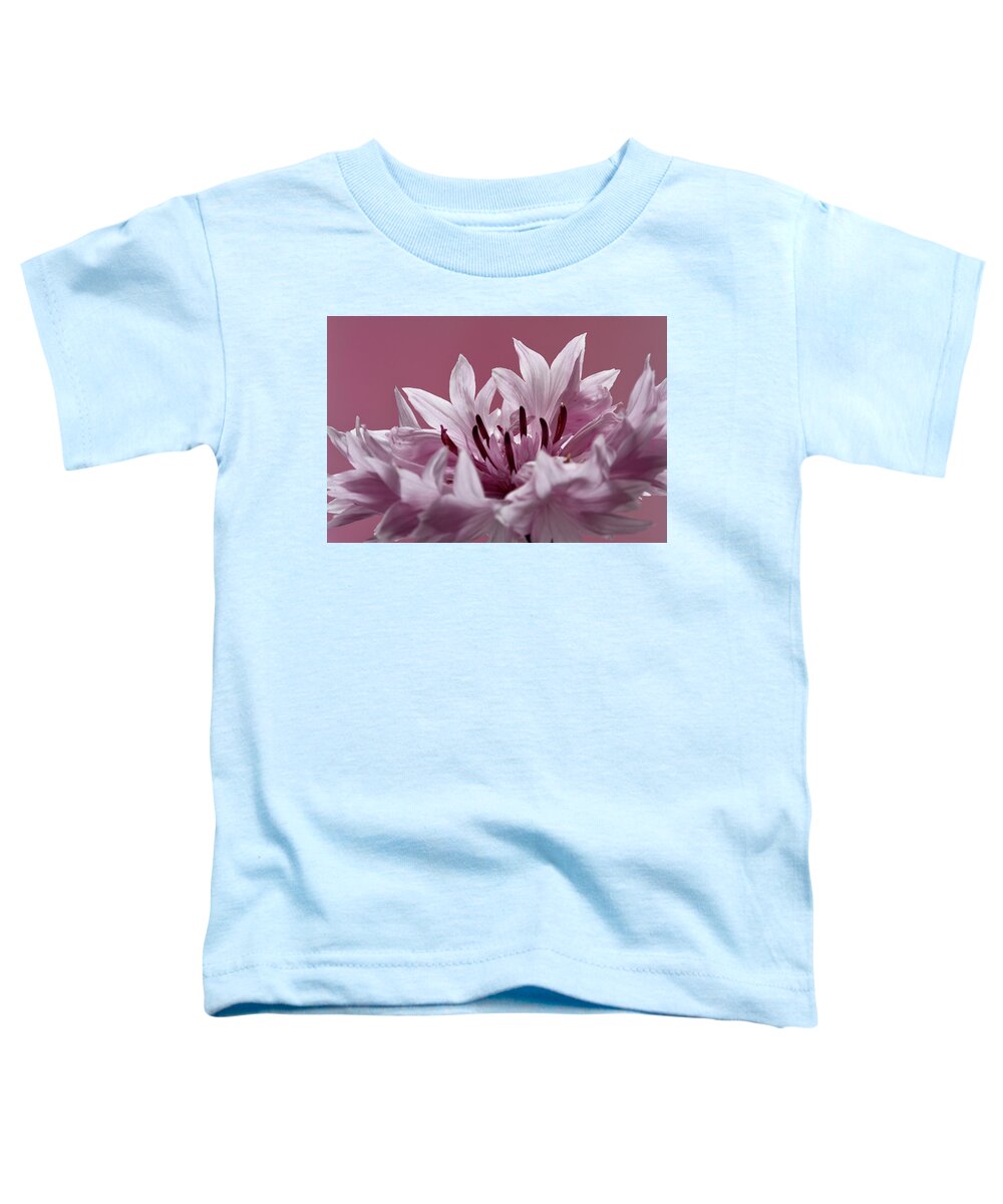 Pale Toddler T-Shirt featuring the photograph Pink Cornflower #2 by Shirley Mitchell