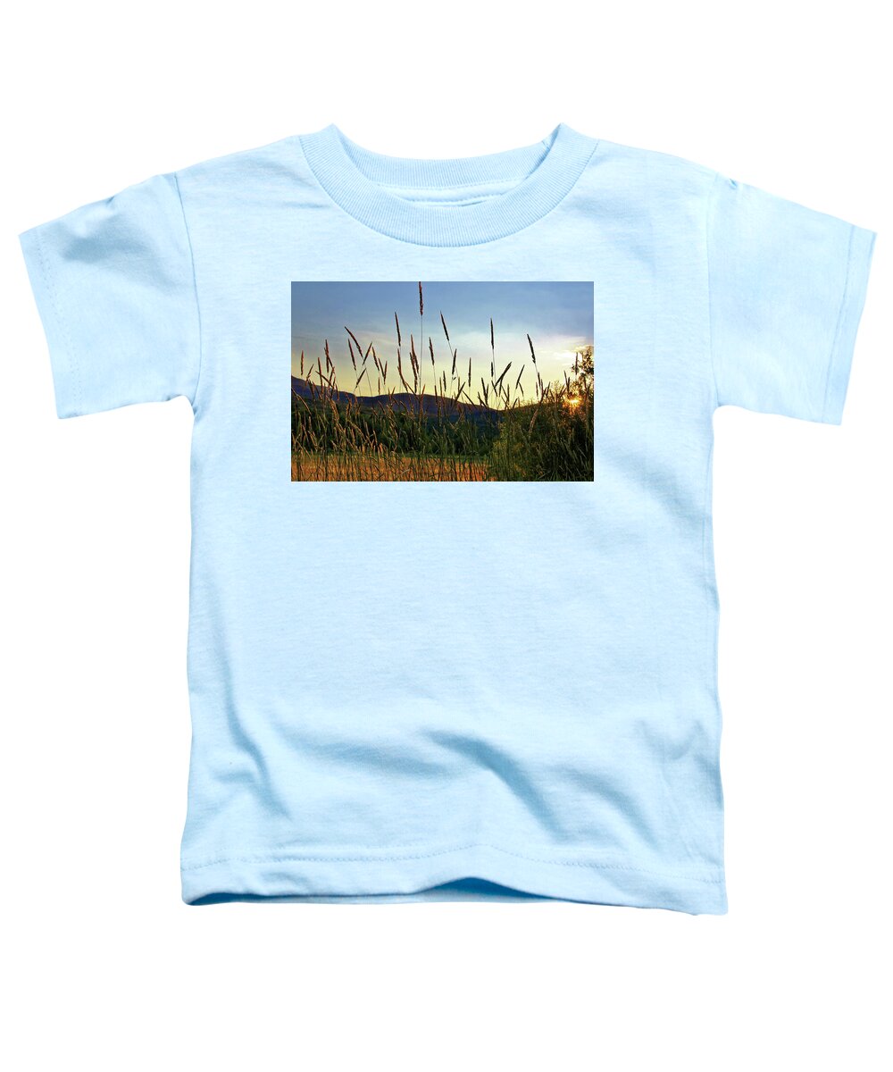 Sunset Toddler T-Shirt featuring the photograph Sunset Field by Doolittle Photography and Art