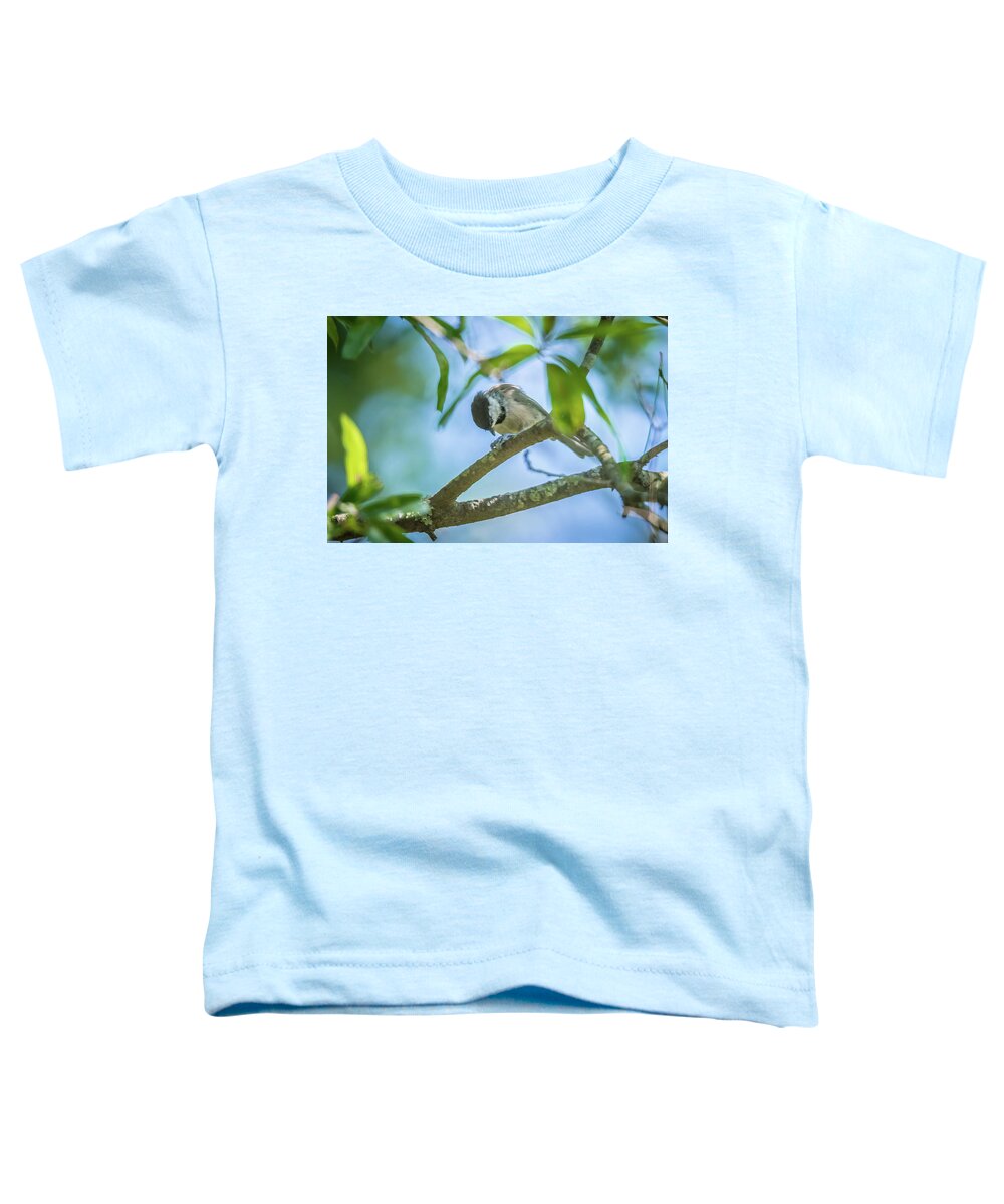 Nature Toddler T-Shirt featuring the photograph Huthatch bird nut pecker in the wild on a tree #3 by Alex Grichenko