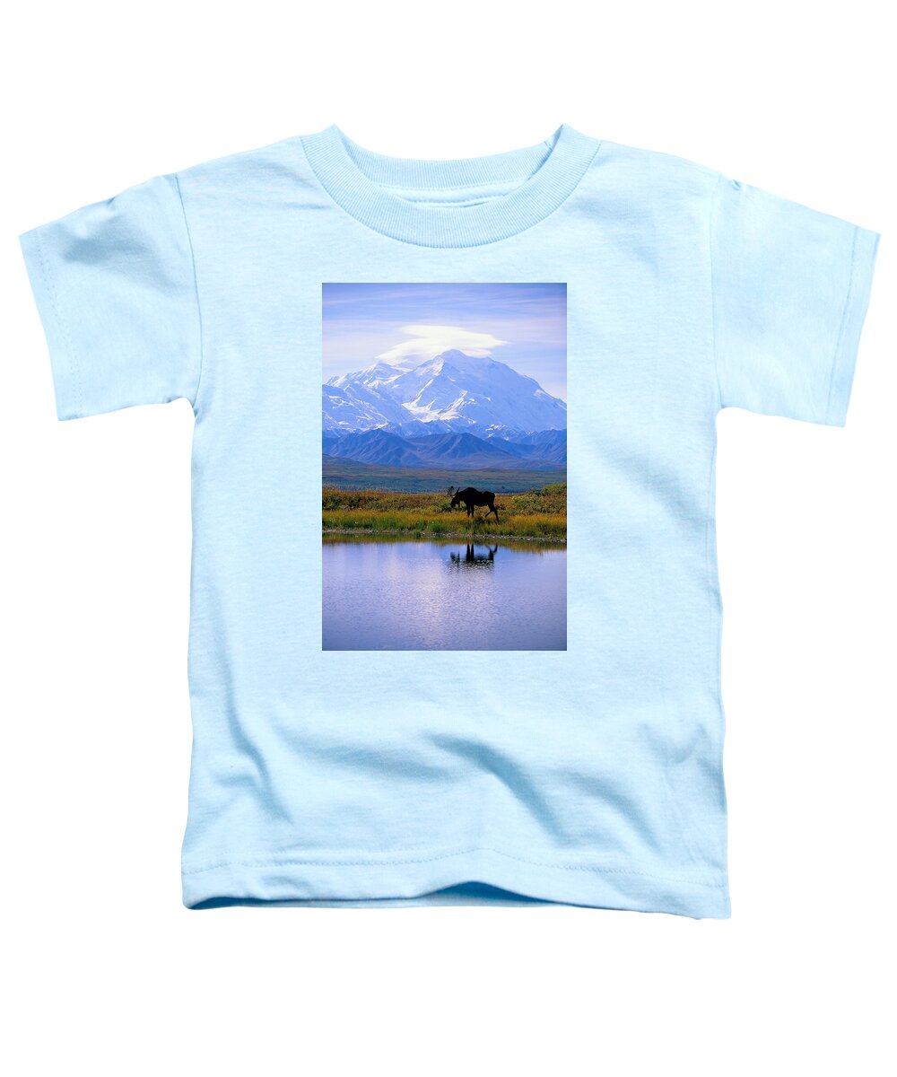 Animal Art Toddler T-Shirt featuring the photograph Denali National Park #4 by John Hyde - Printscapes