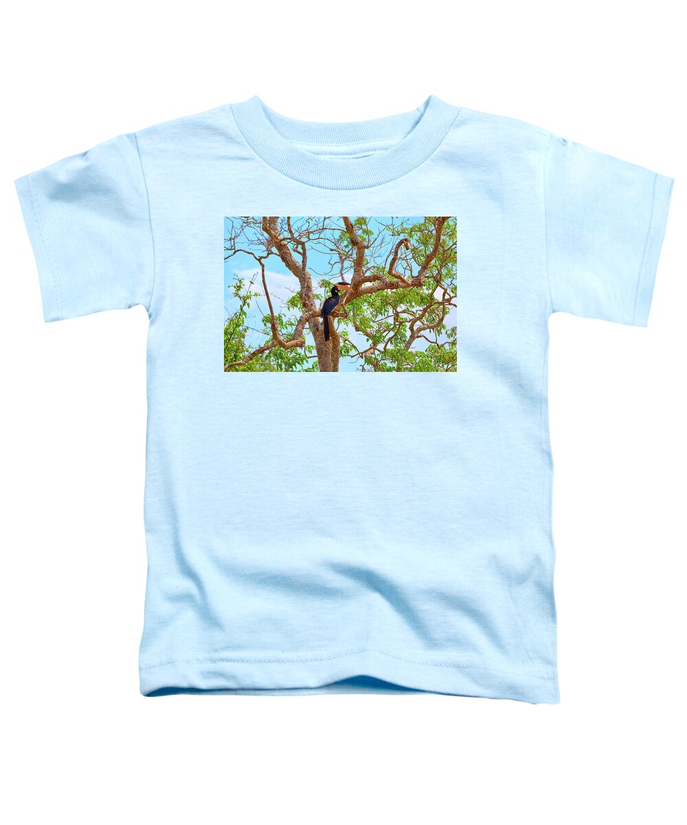 Adventure Toddler T-Shirt featuring the photograph a gorgeous Great Indian Hornbill, exotically bird in the tropes by Gina Koch