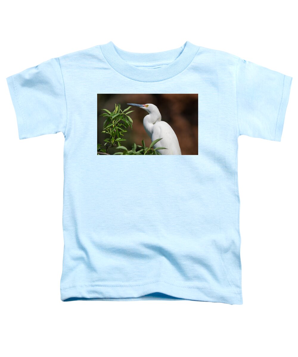 Wildlife Toddler T-Shirt featuring the photograph A Resting Snowy Egret by Kenneth Albin