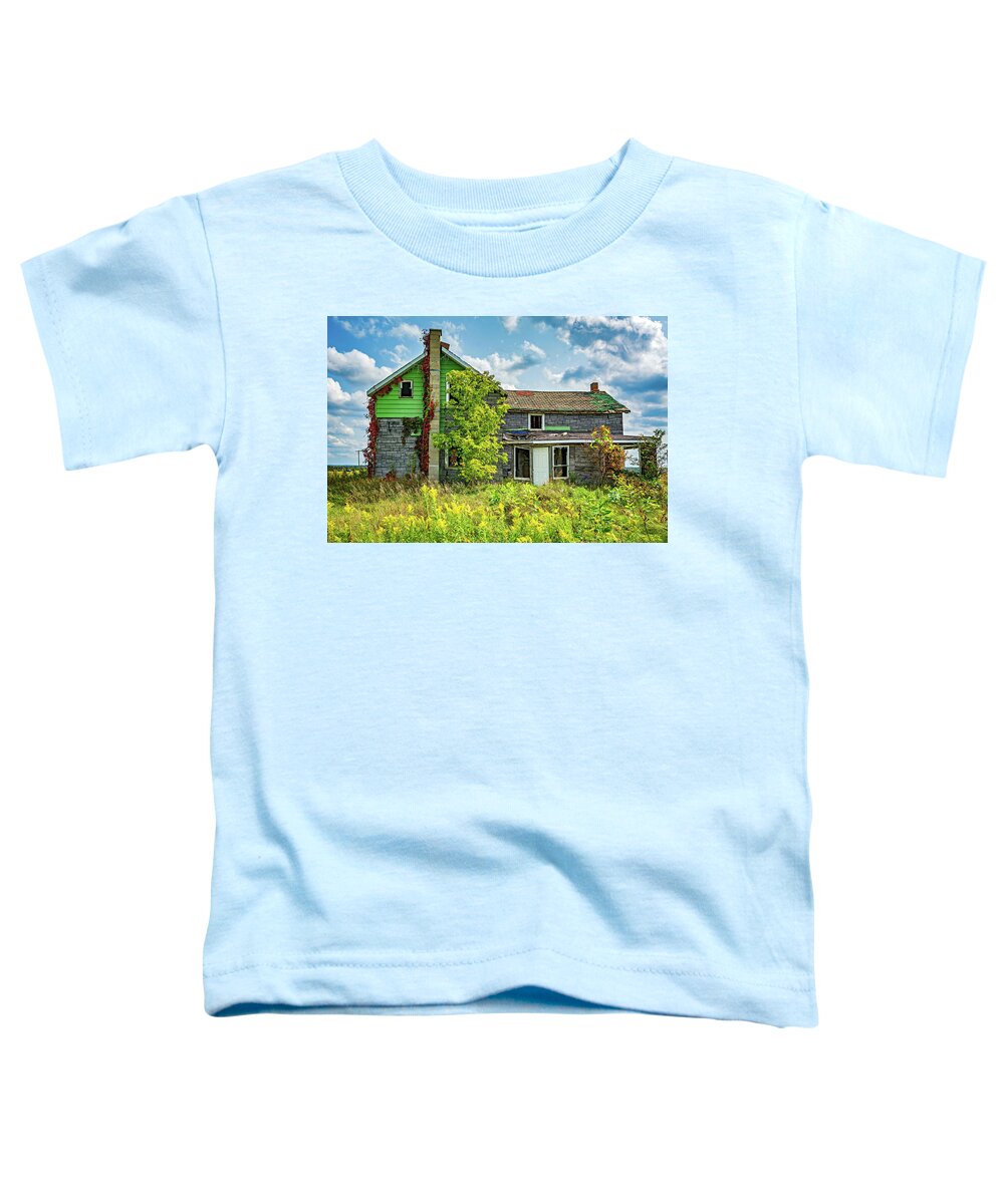 Ontario Toddler T-Shirt featuring the photograph Abandoned Dreams - Autumn by Steve Harrington