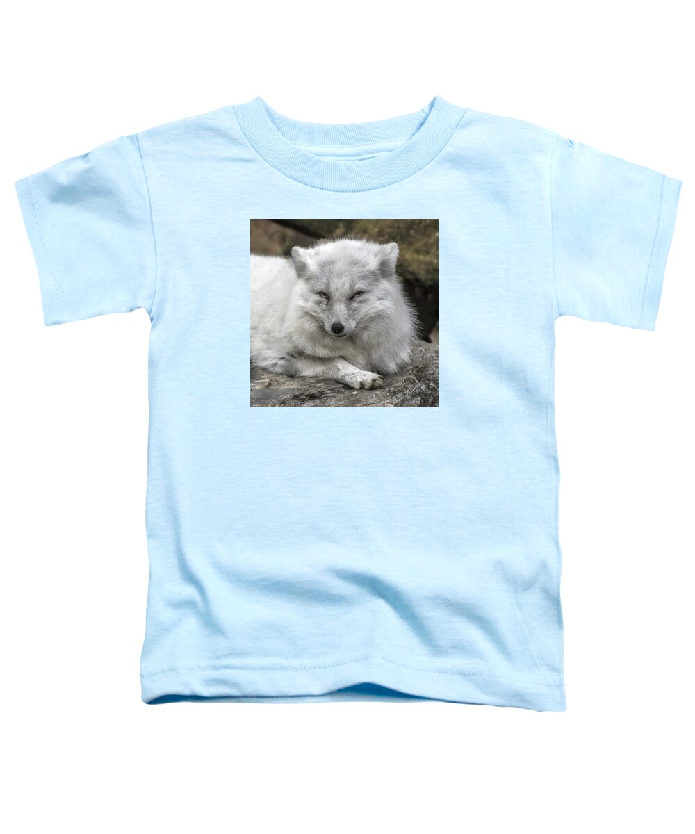 Wildlife Toddler T-Shirt featuring the photograph Arctic Fox Portrait by William Bitman