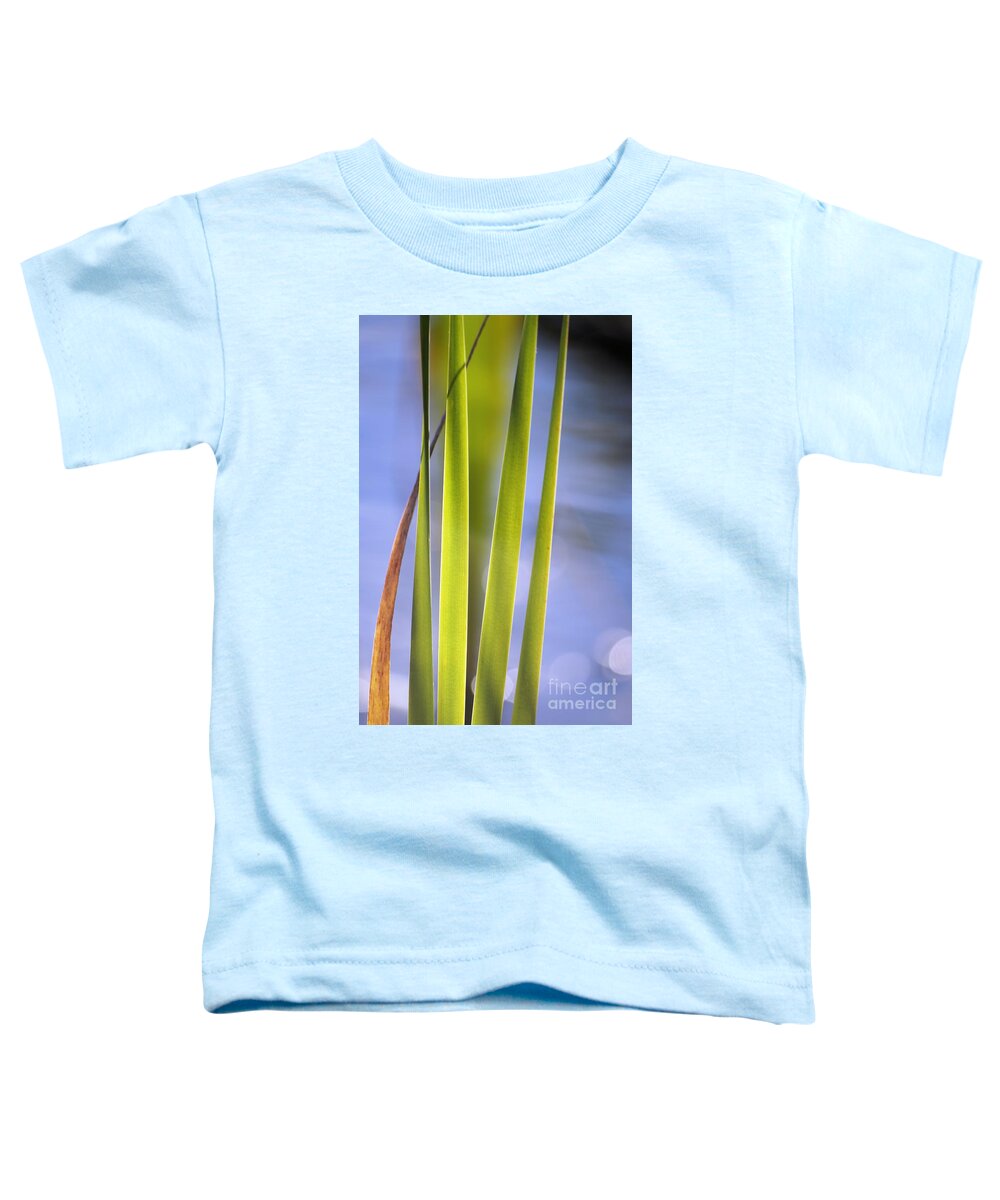 Abstract Toddler T-Shirt featuring the photograph Axisis 02 by Aimelle Ml