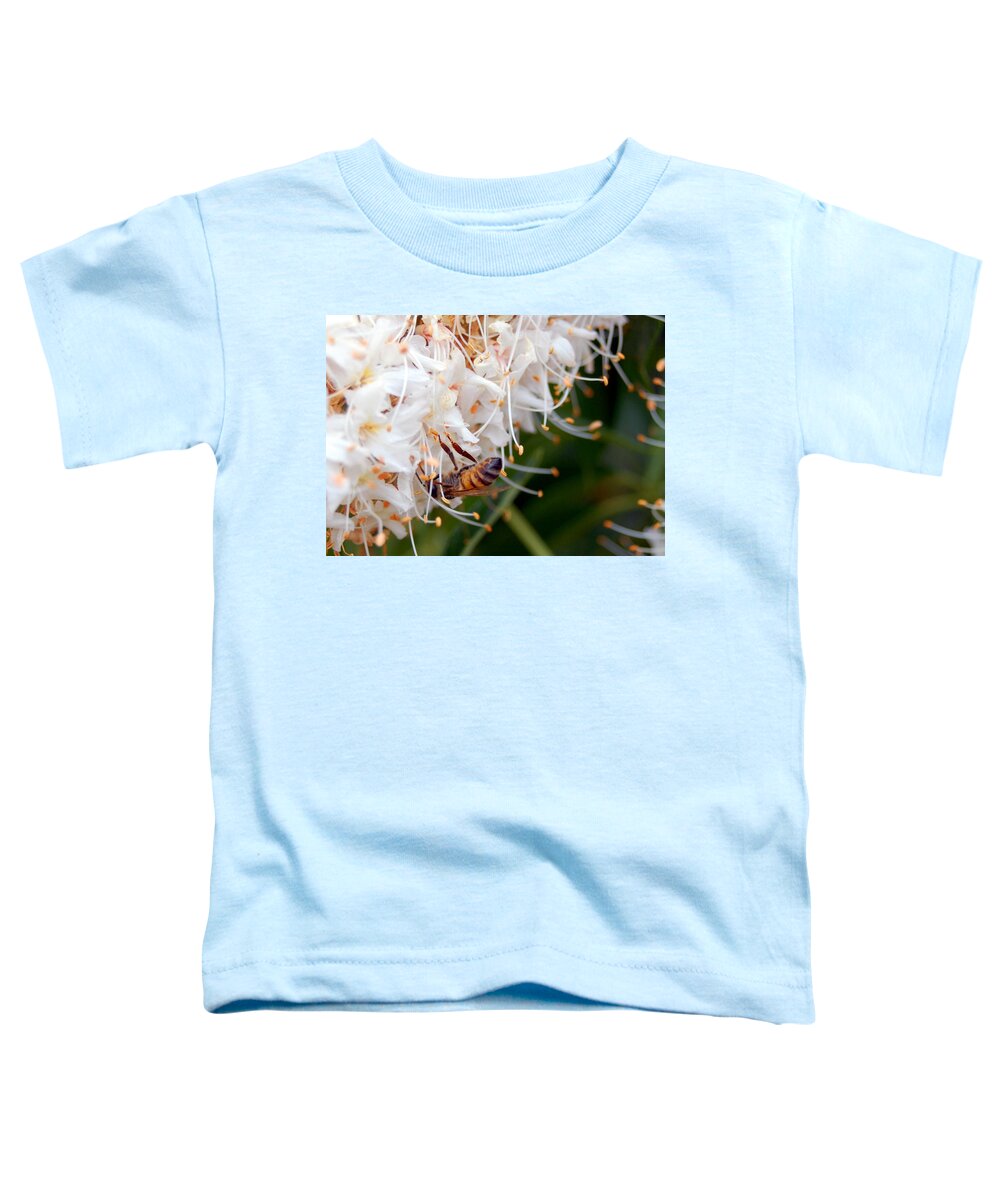 Flower Toddler T-Shirt featuring the photograph Bee on Flowers 1 by Amy Fose