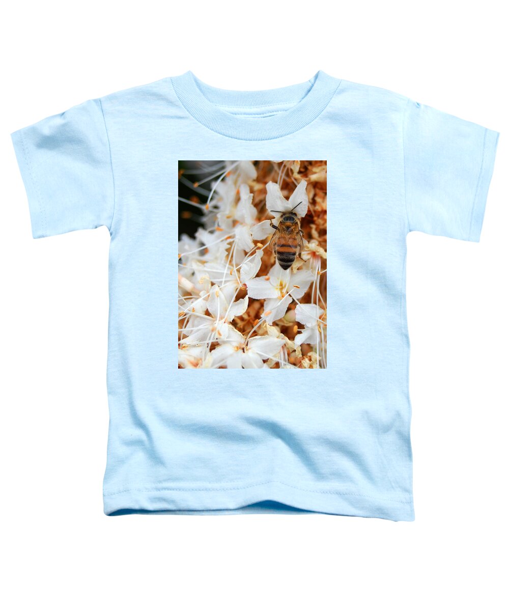 Flower Toddler T-Shirt featuring the photograph Bee on Flowers 2 by Amy Fose