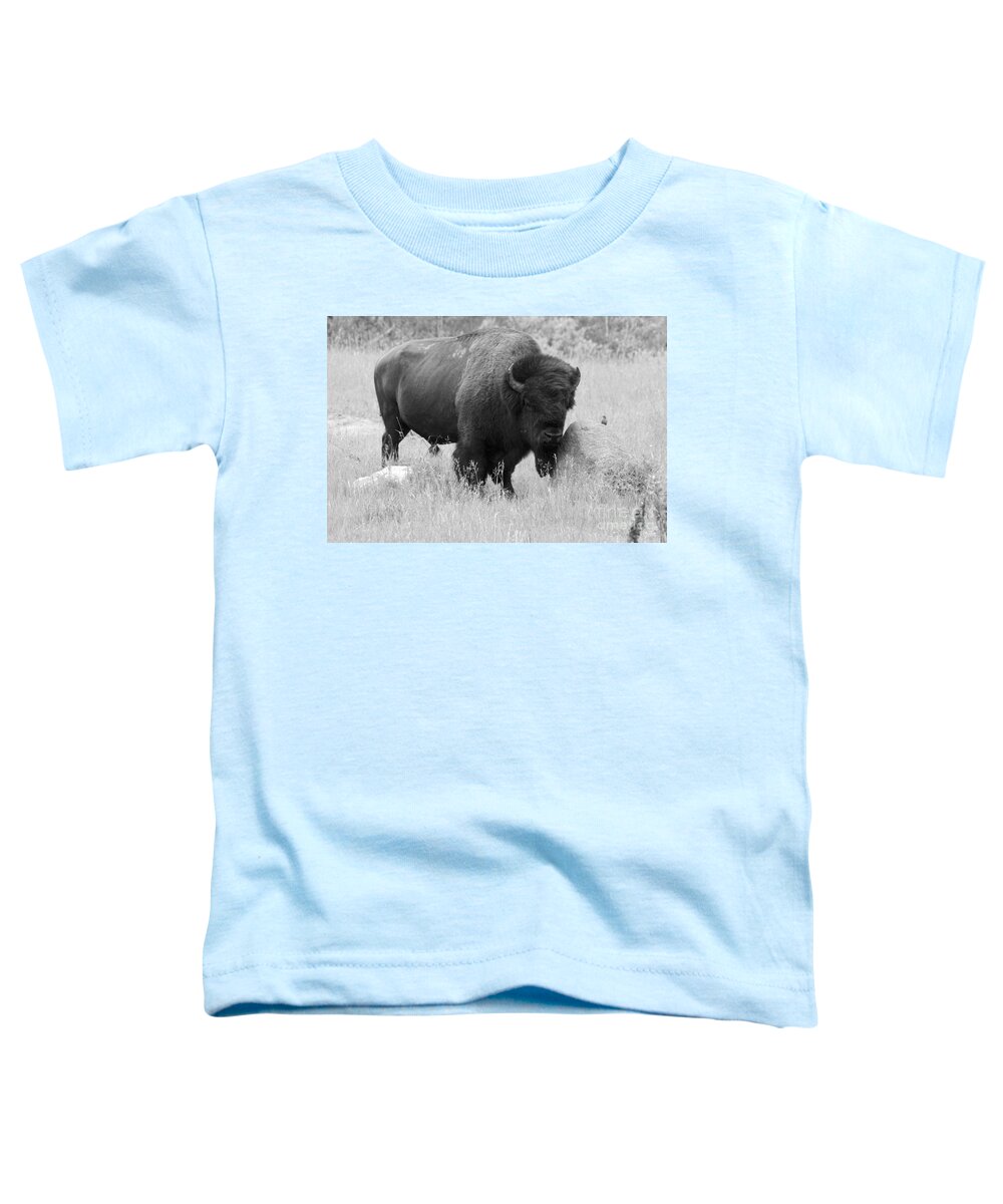 Animal Toddler T-Shirt featuring the photograph Bison and Buffalo by Mary Mikawoz