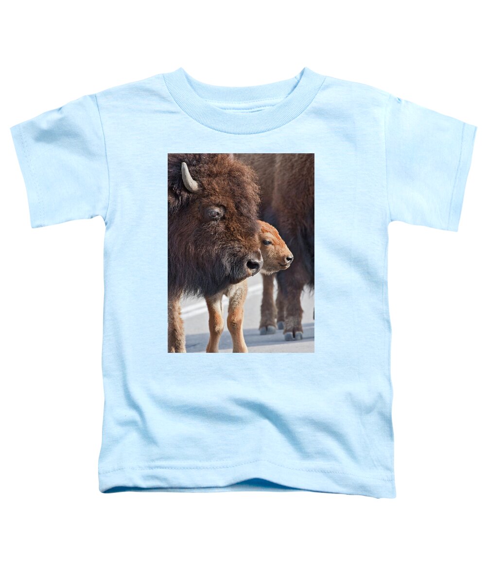 Buffalo Toddler T-Shirt featuring the photograph Bison Family by Wesley Aston