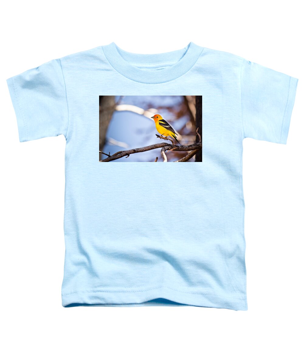 Bird Toddler T-Shirt featuring the photograph Bright Feathered Beauty - Western Tanager - Casper Mountain - Casper Wyoming by Diane Mintle