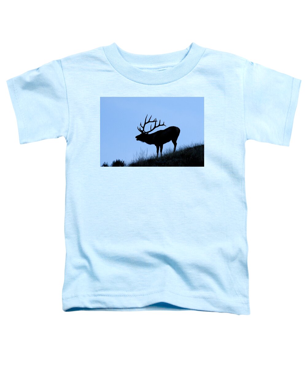 Yellowstone National Park Toddler T-Shirt featuring the photograph Bull Elk Silhouette by Larry Ricker
