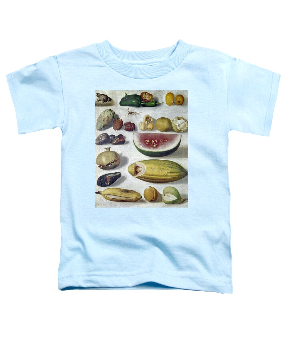 1874 Toddler T-Shirt featuring the photograph Bustos: Still Life, 1874 by Granger