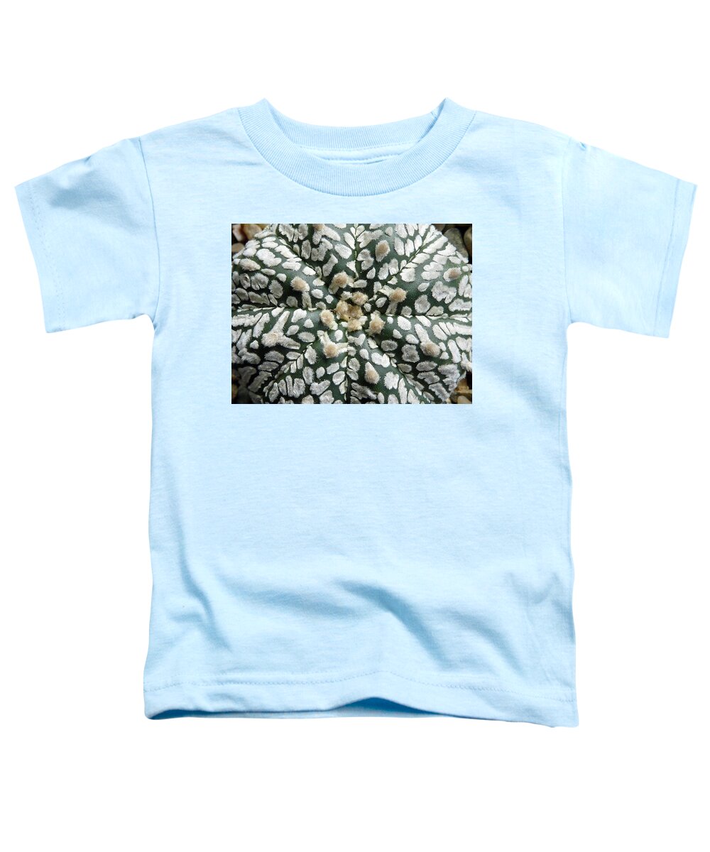 Cactus Toddler T-Shirt featuring the photograph Cactus 1 by Selena Boron