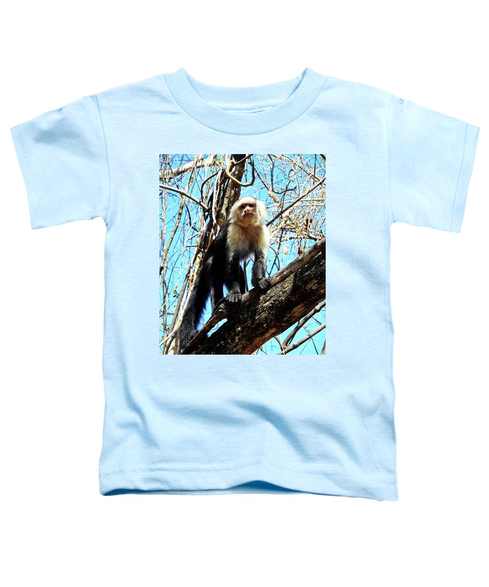  Costa Rico Toddler T-Shirt featuring the photograph Capuchin Monkeys 21 by Ron Kandt
