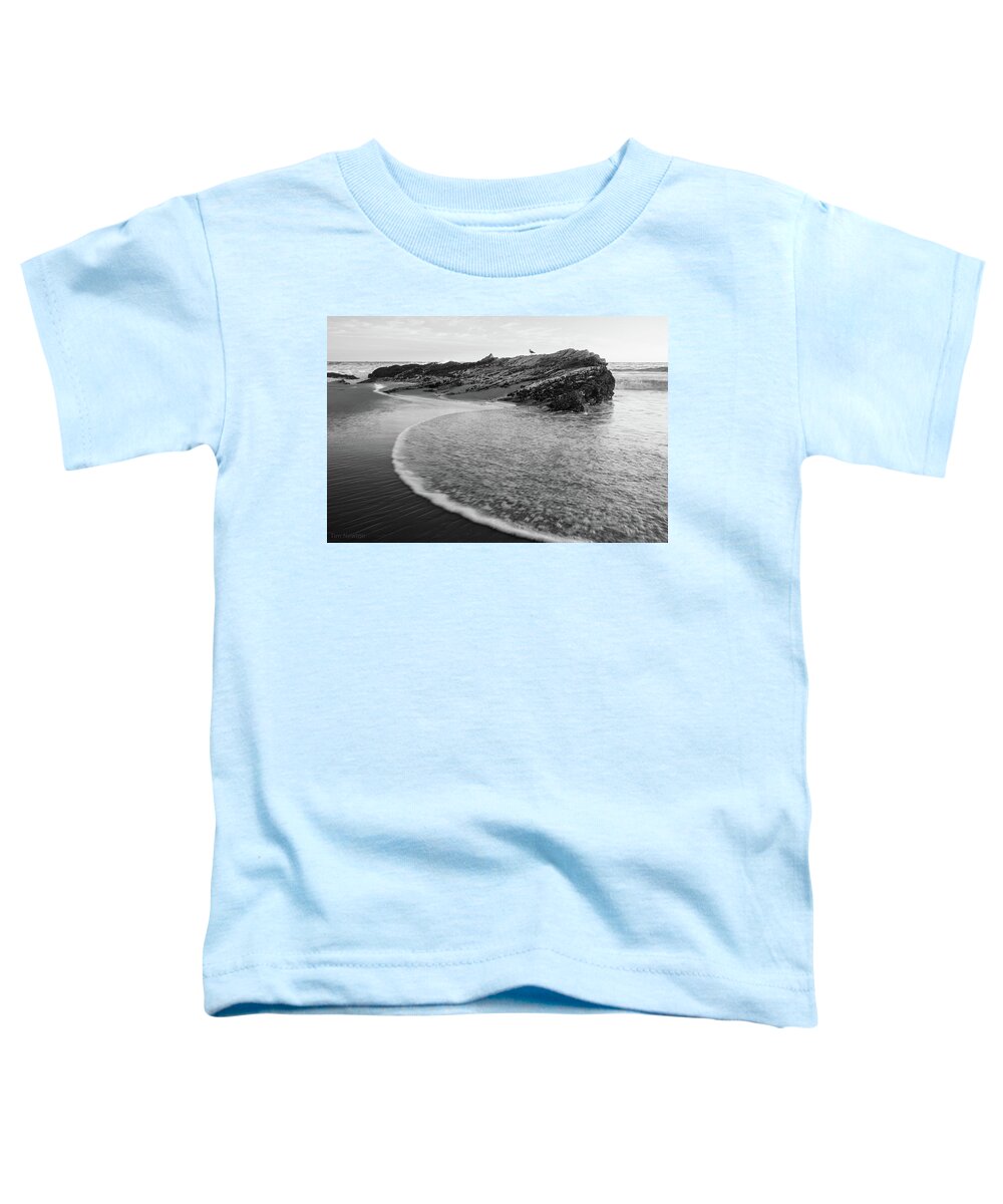 Seaside Toddler T-Shirt featuring the photograph Carpinteria Seagull by Tim Newton