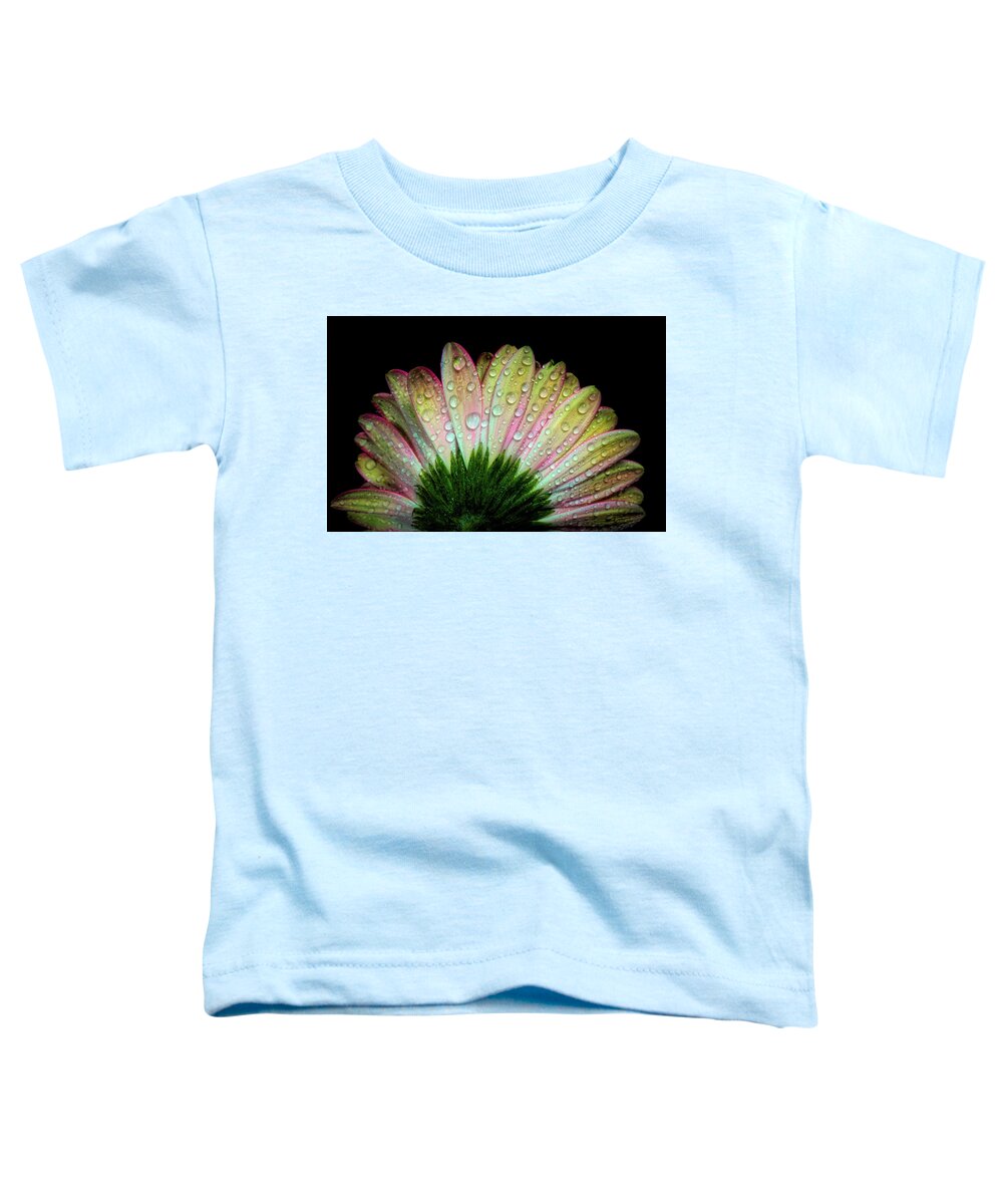 Pink Flower Toddler T-Shirt featuring the mixed media Colorful Daisy by Lilia S