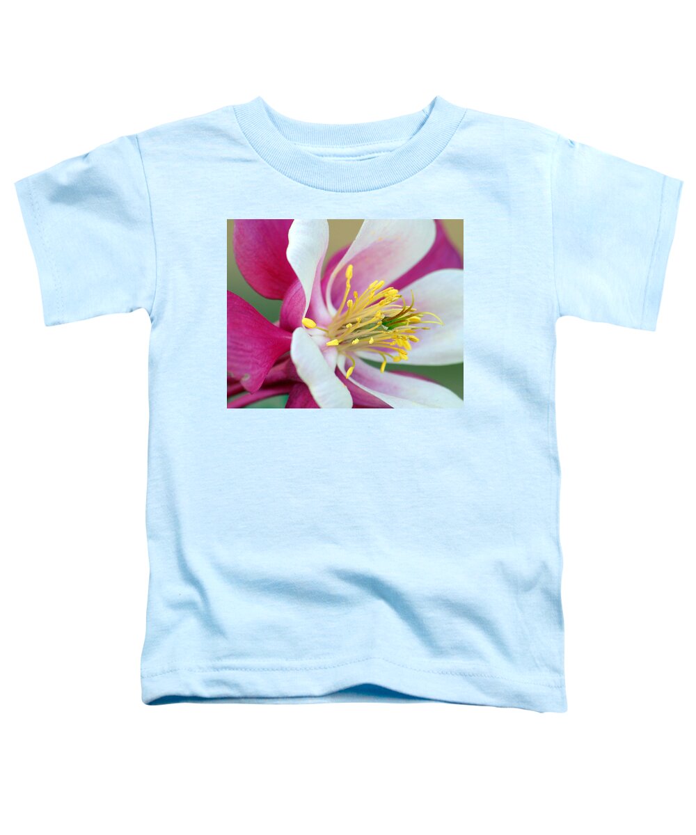 Columbine Toddler T-Shirt featuring the photograph Columbine Flower 2 by Amy Fose