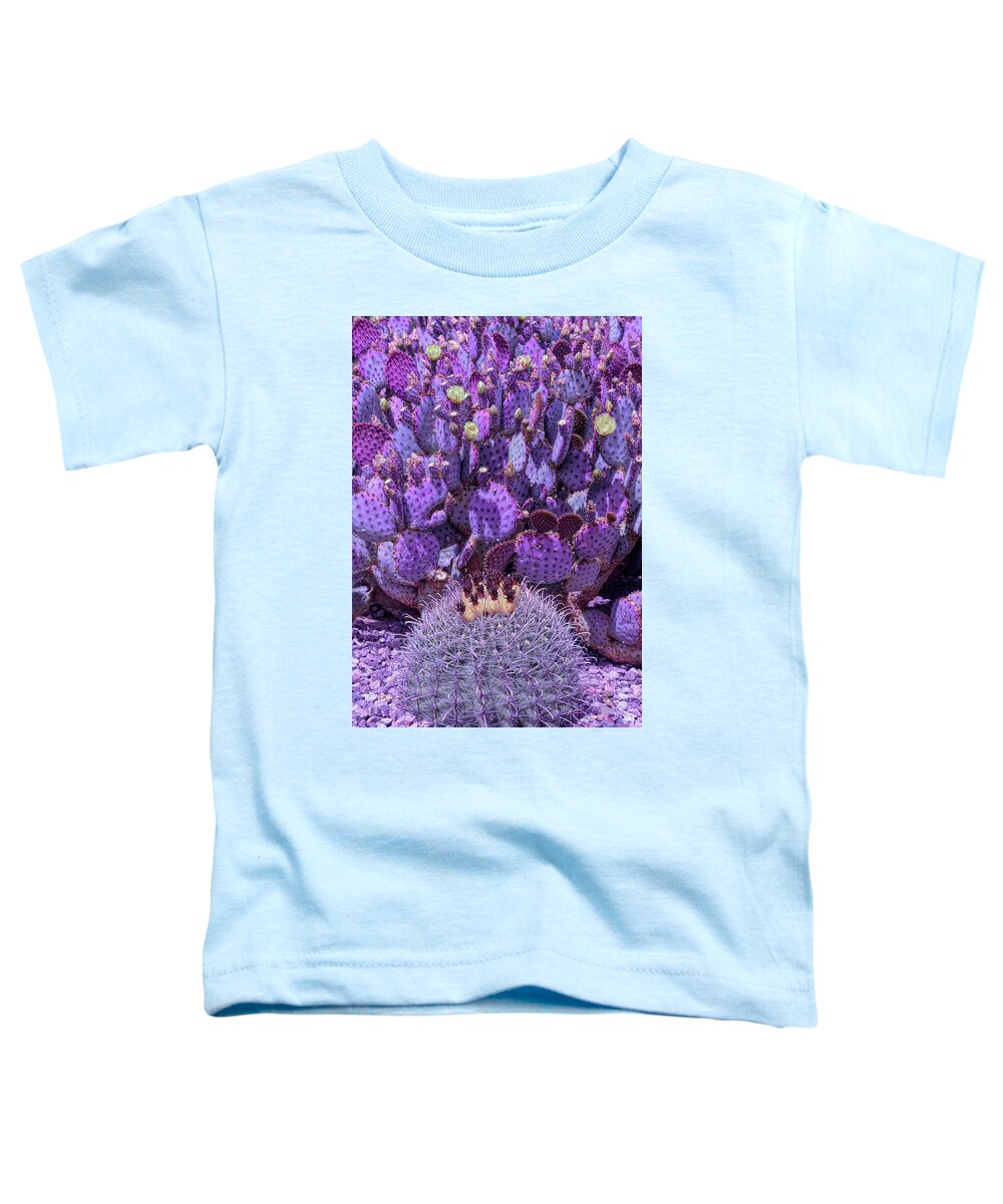 Cactus Toddler T-Shirt featuring the photograph Cool Sunset Prickly Pear Blooms by Aimee L Maher ALM GALLERY