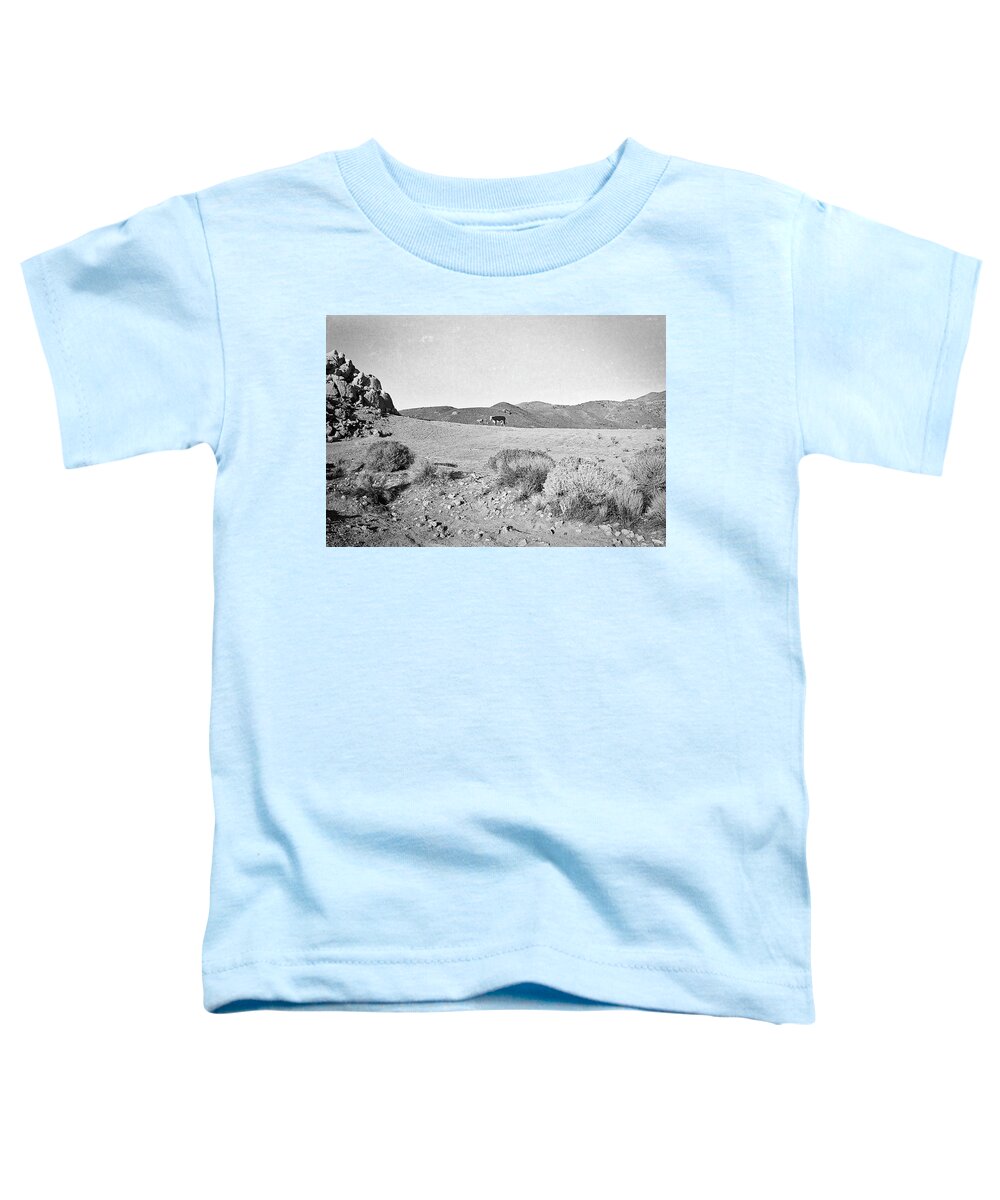Cow Toddler T-Shirt featuring the photograph Cow at Pyramid Lake by Susan Crowell
