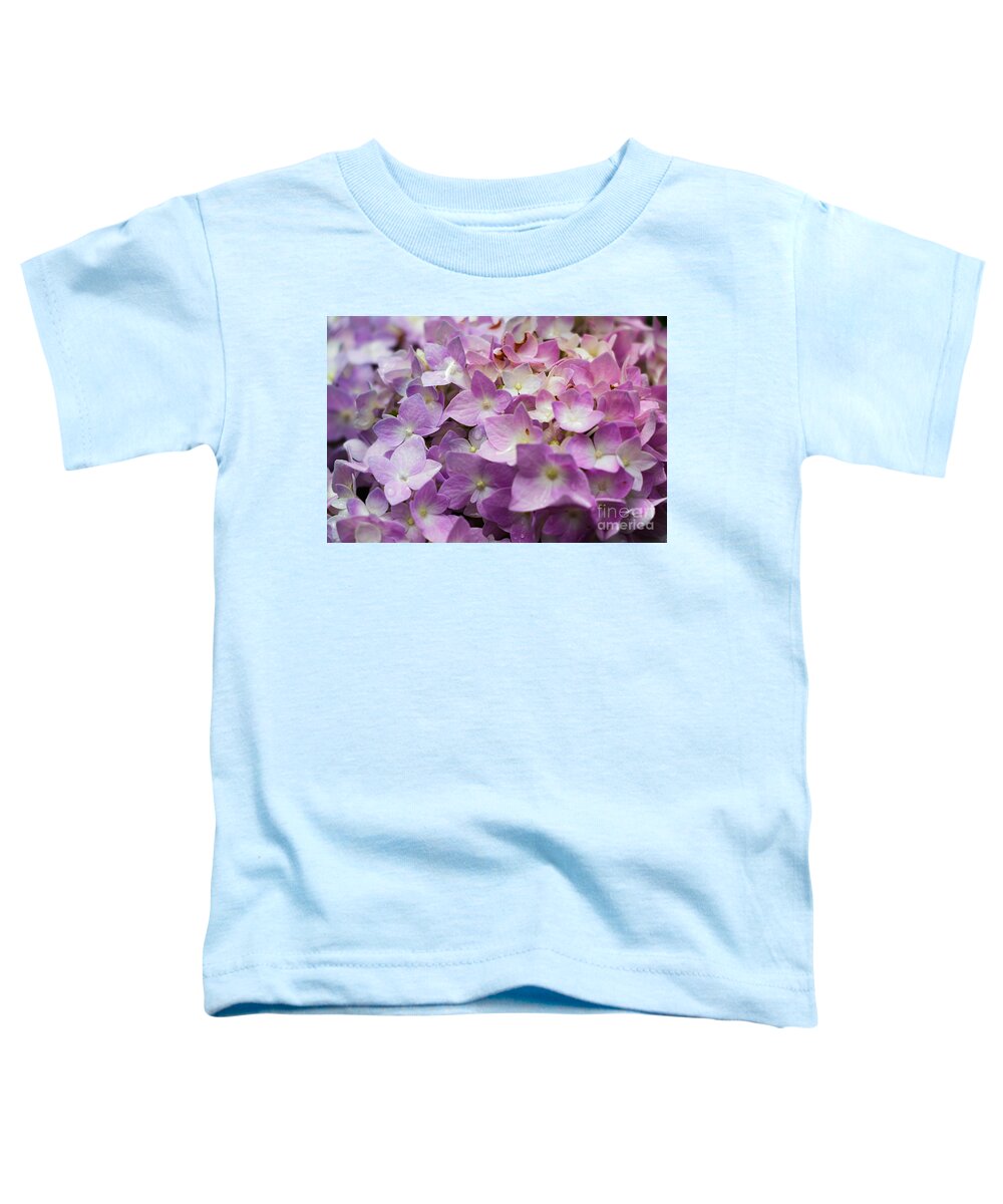 Pink Hydrangeas Toddler T-Shirt featuring the photograph Dainty Pink Hydrangeas by Elizabeth Dow