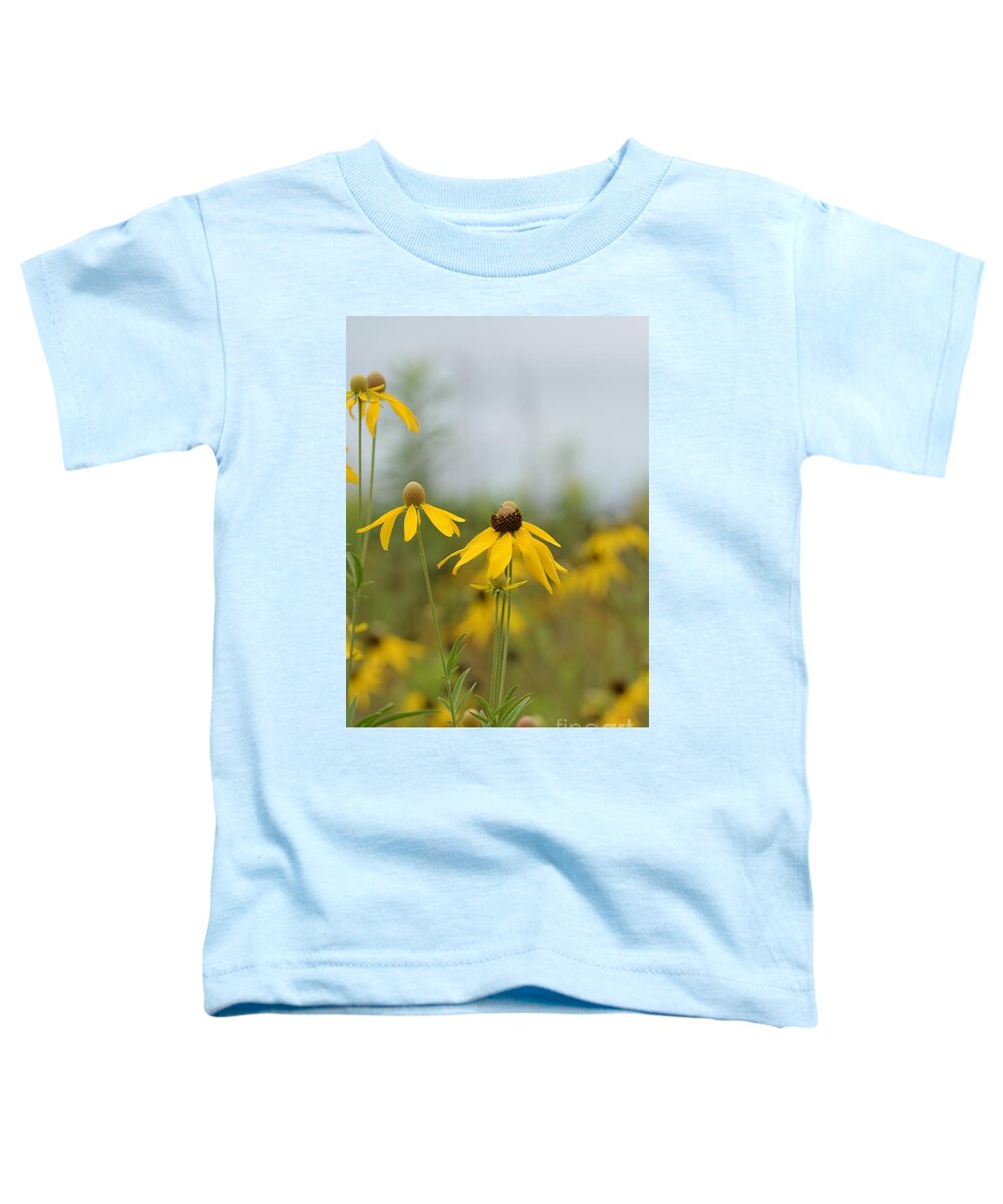 Daisies In The Mist Toddler T-Shirt featuring the photograph Daisies in the Mist by Maria Urso