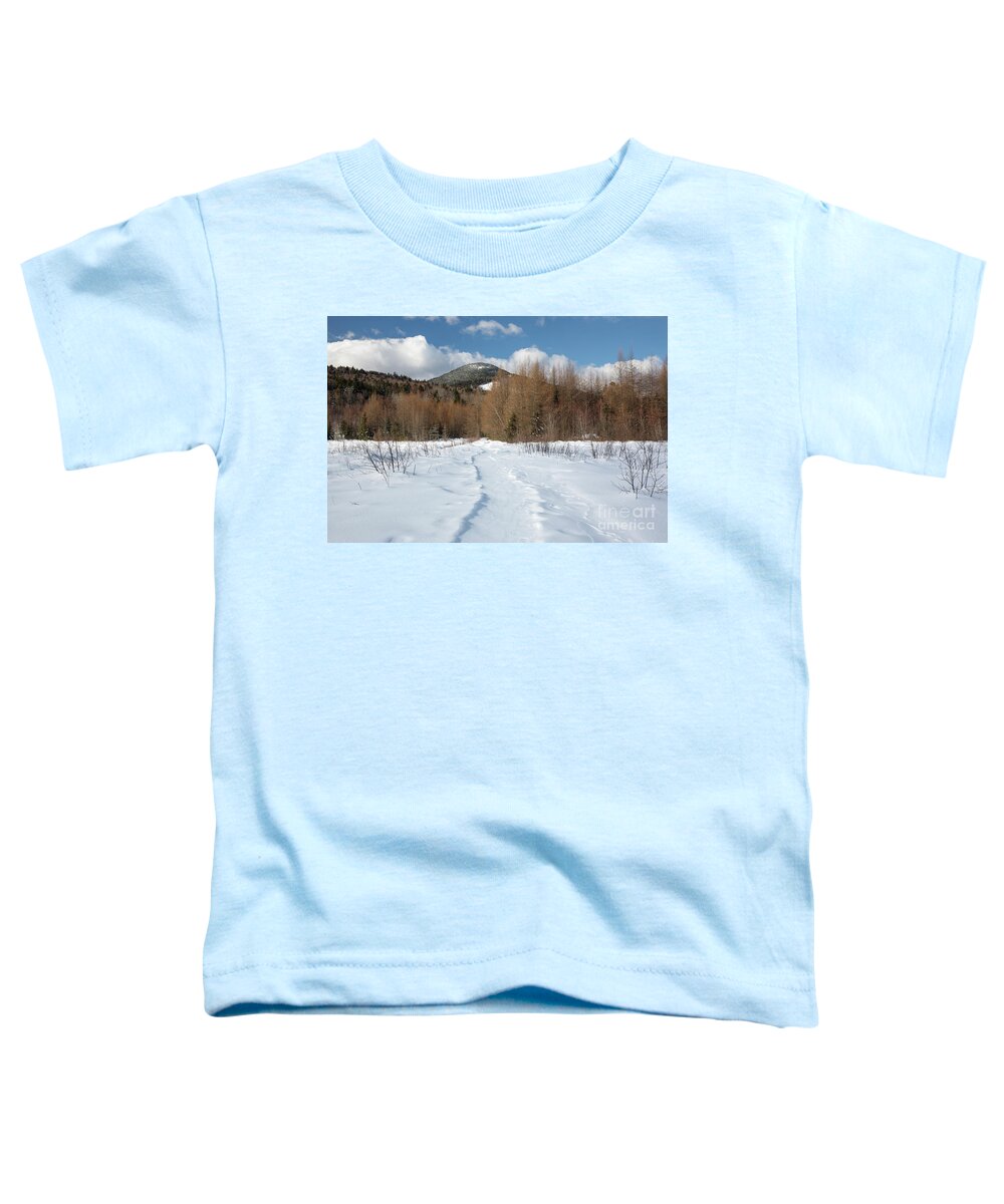 Albany Toddler T-Shirt featuring the photograph Downes - Oliverian Brook Ski Trail - White Mountains New Hampshire by Erin Paul Donovan