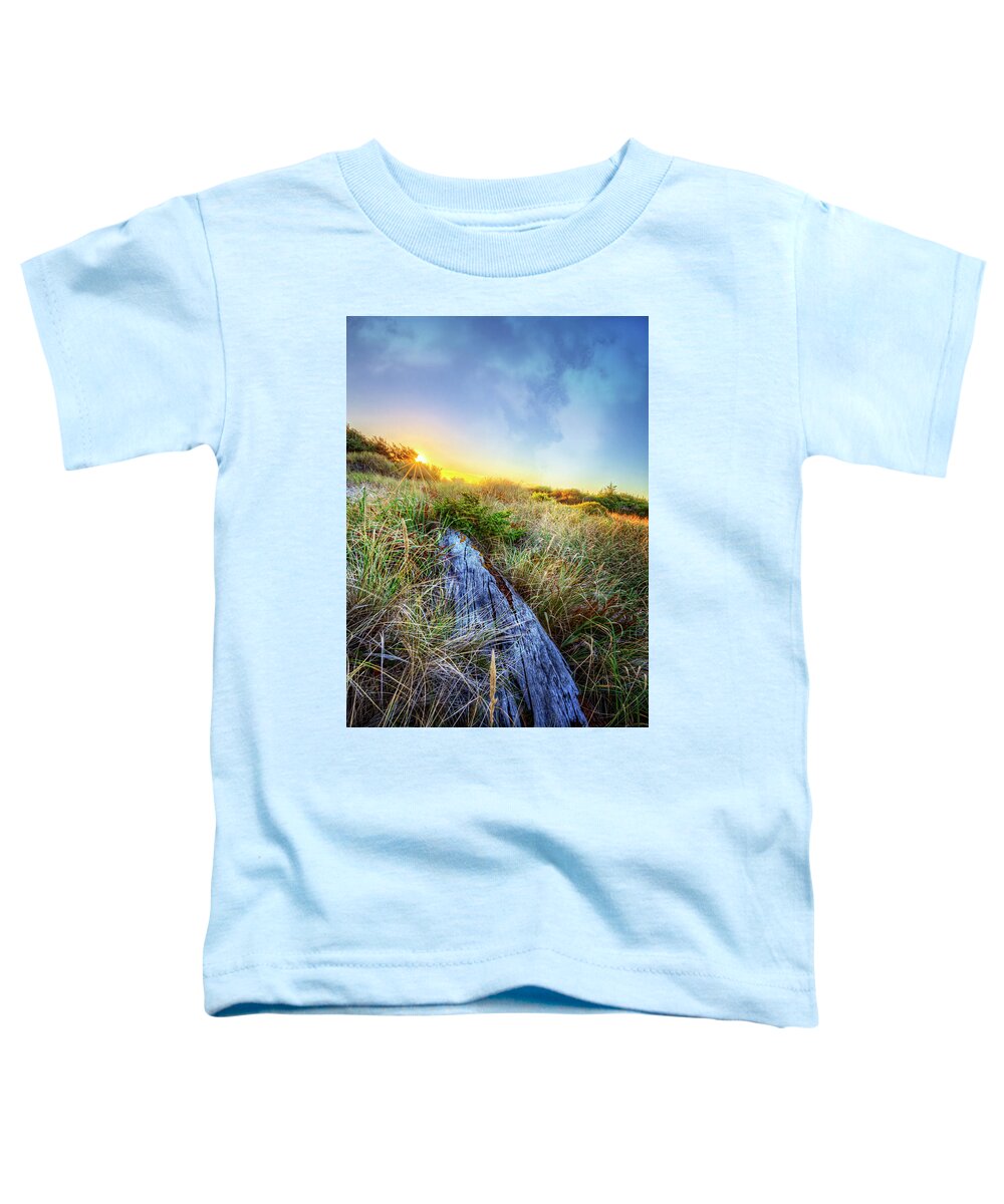 Clouds Toddler T-Shirt featuring the photograph Driftwood at the Dunes by Debra and Dave Vanderlaan