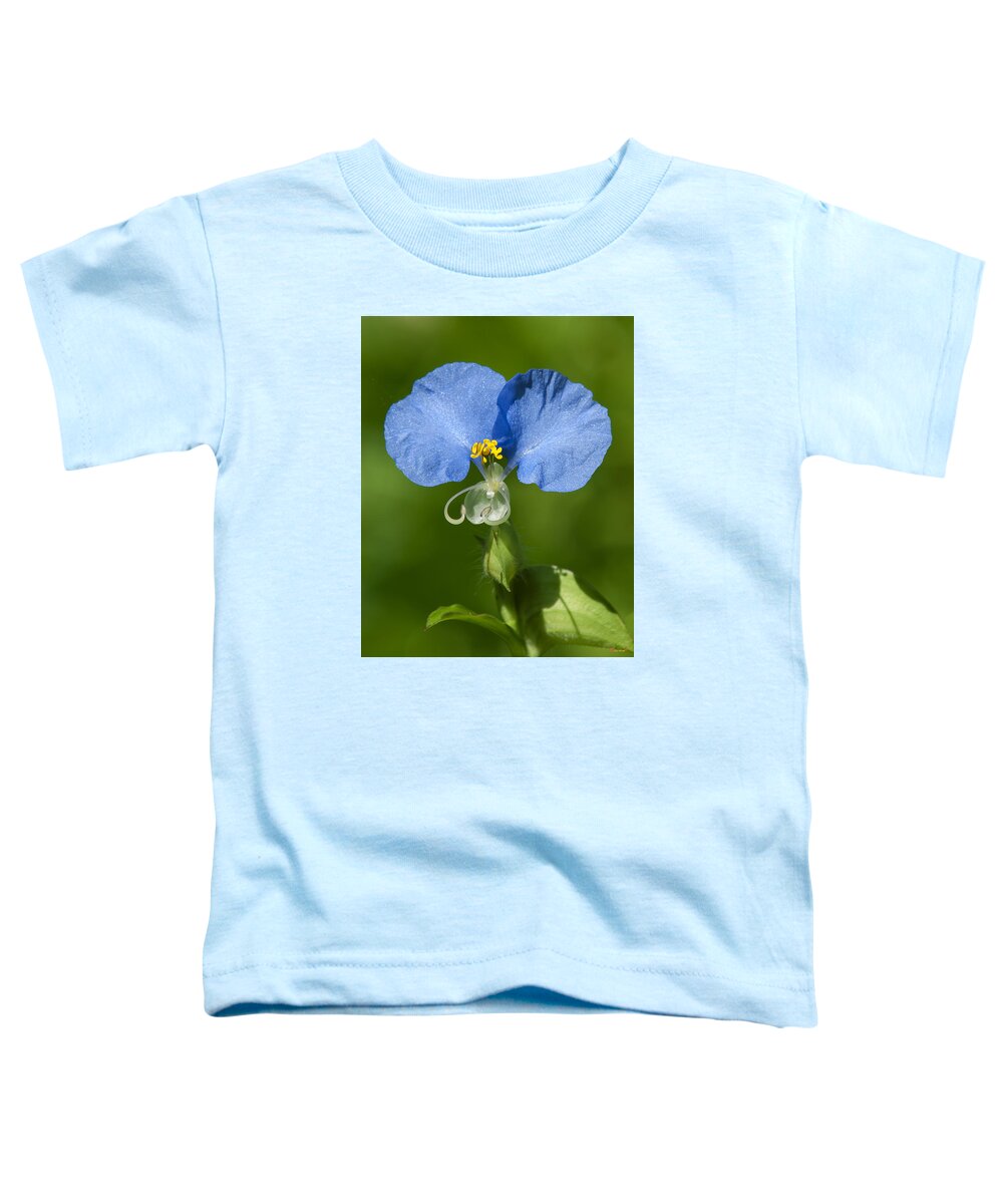 Nature Toddler T-Shirt featuring the photograph Erect Dayflower DSMF0300 by Gerry Gantt