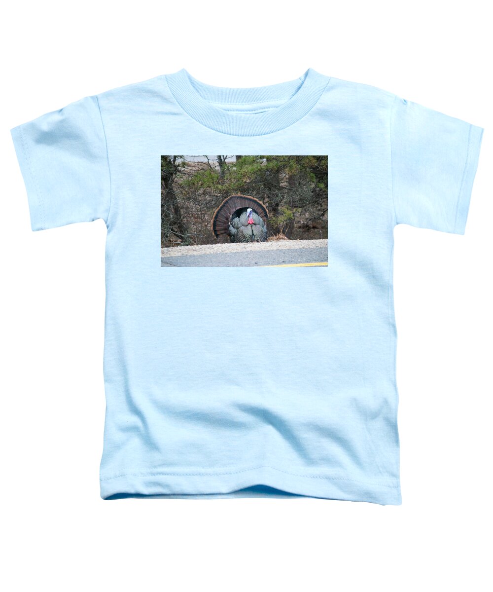 Provincetown Toddler T-Shirt featuring the photograph Tom Terrific by Ellen Koplow