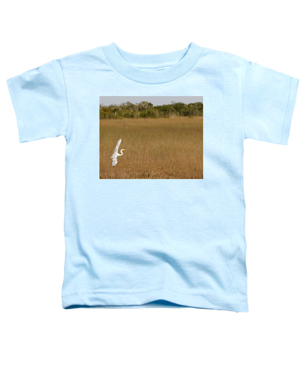 Everglades National Park Toddler T-Shirt featuring the photograph Everglades 429 by Michael Fryd