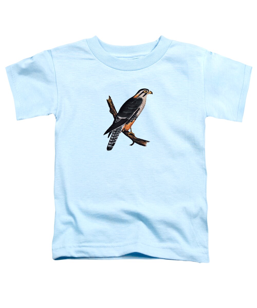 Aplomado Falcon Toddler T-Shirt featuring the drawing Falcon Aplomado Falcon by Movie Poster Prints