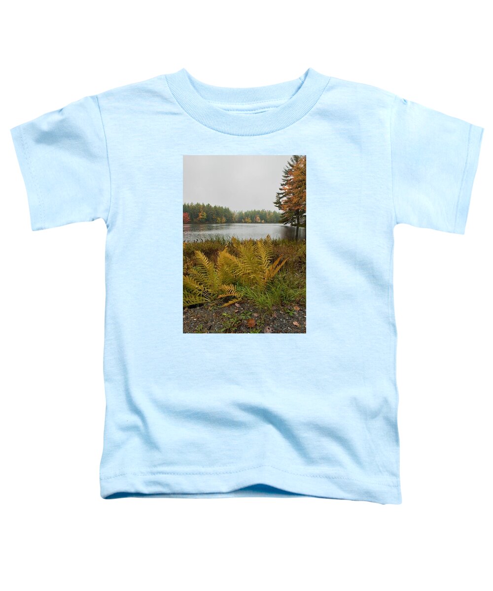 Fall Toddler T-Shirt featuring the photograph Fern Fall by Patricia Dennis